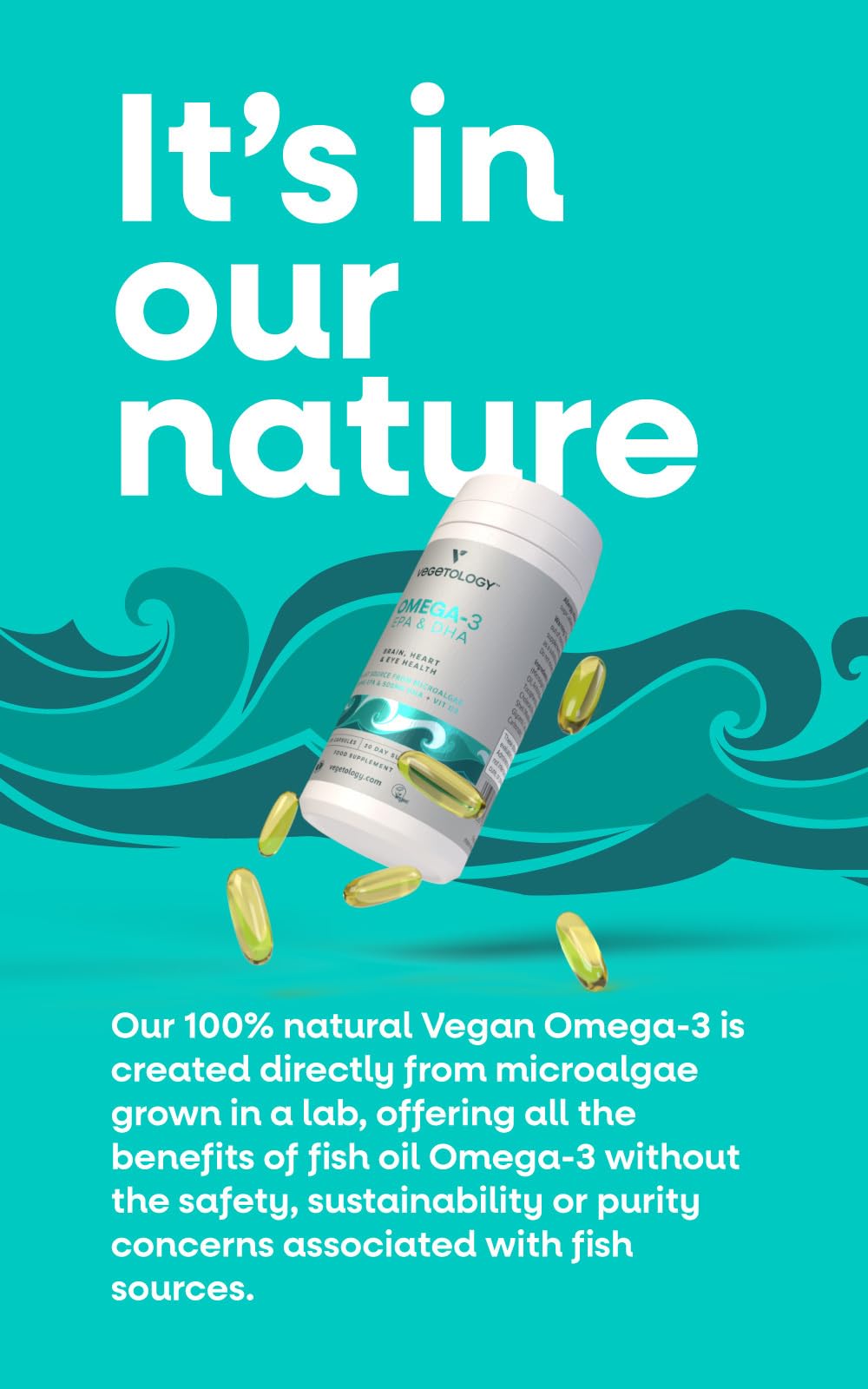 VEGETOLOGY Vegan Omega-3 Supplement, 60 Capsules
