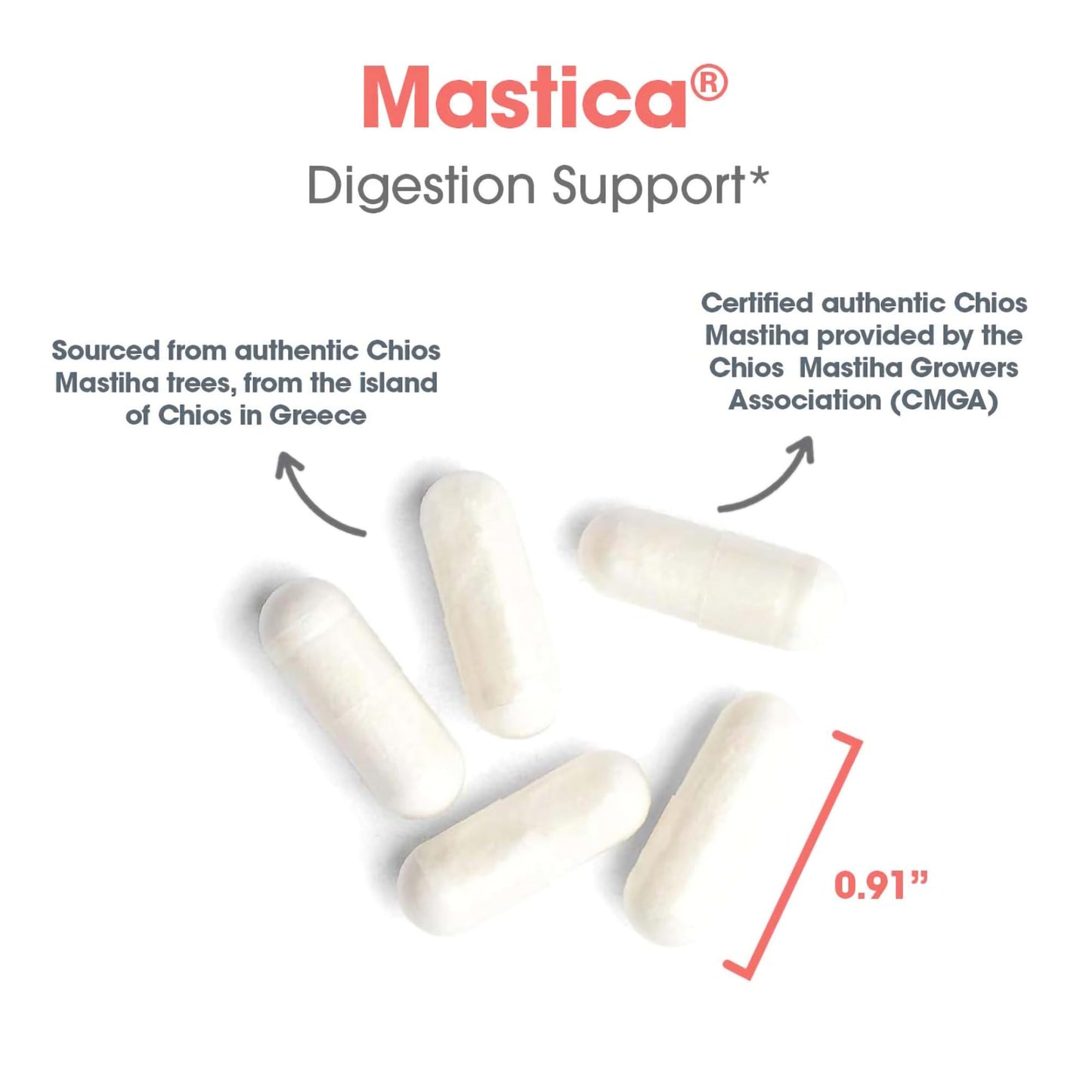 Allergy Research Group ARG Mastica Digestive Support Capsule 240 Capsules