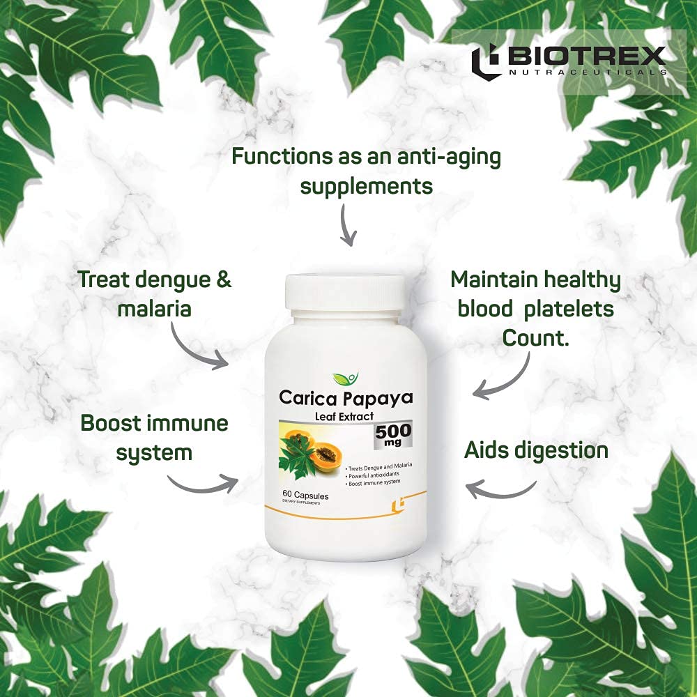 Generic Carica Papaya Leaf Extract 500mg Capsule 60 Capsules