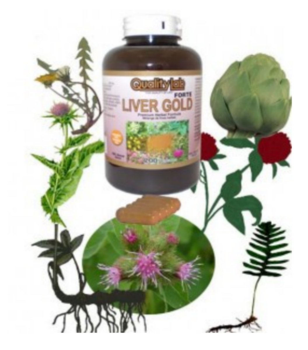 Quality Lab Canadian Liver Gold Forte 300 Capsules, 1 Bottle