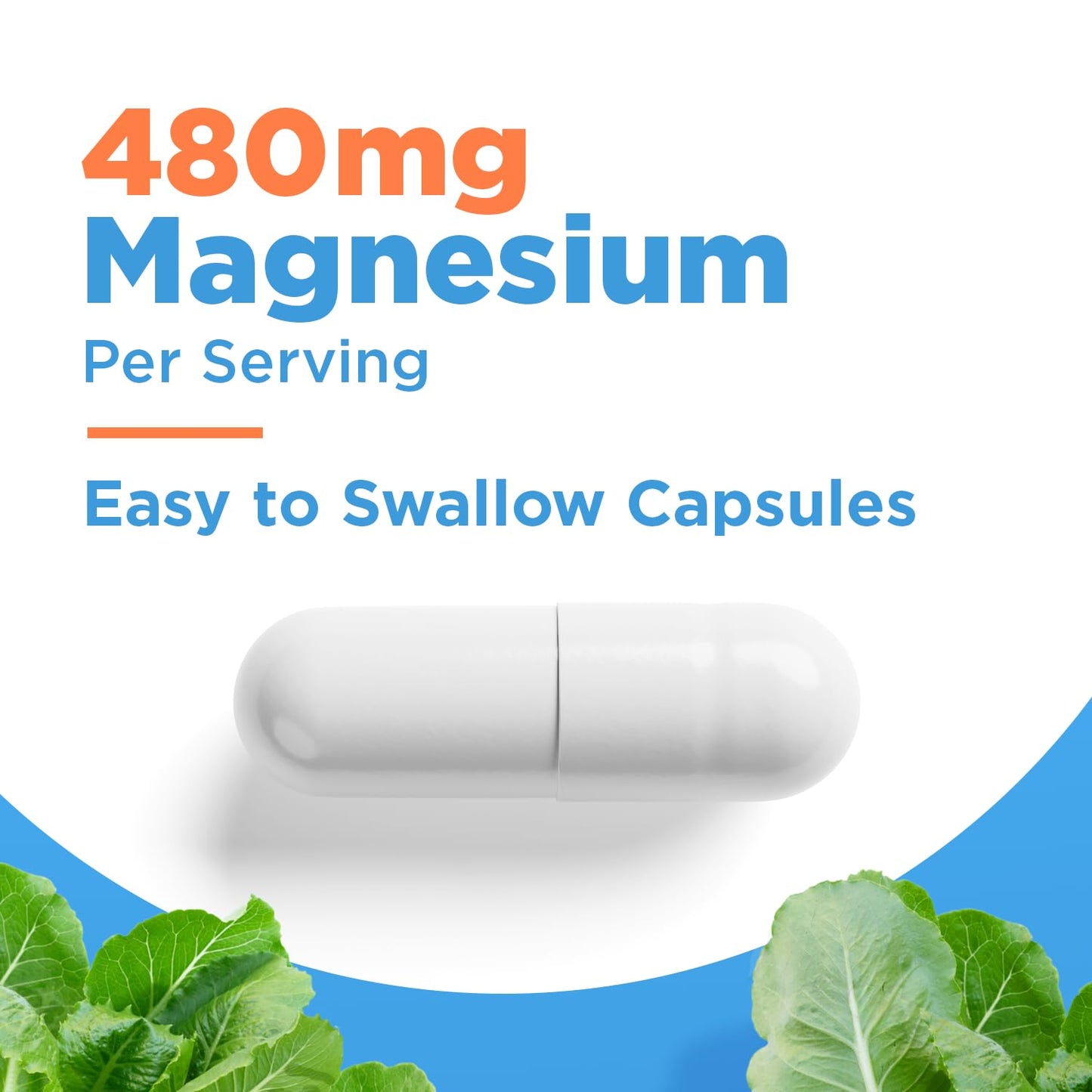 Selfevolve Magnesium Glycinate 480mg Capsule, 1 Count