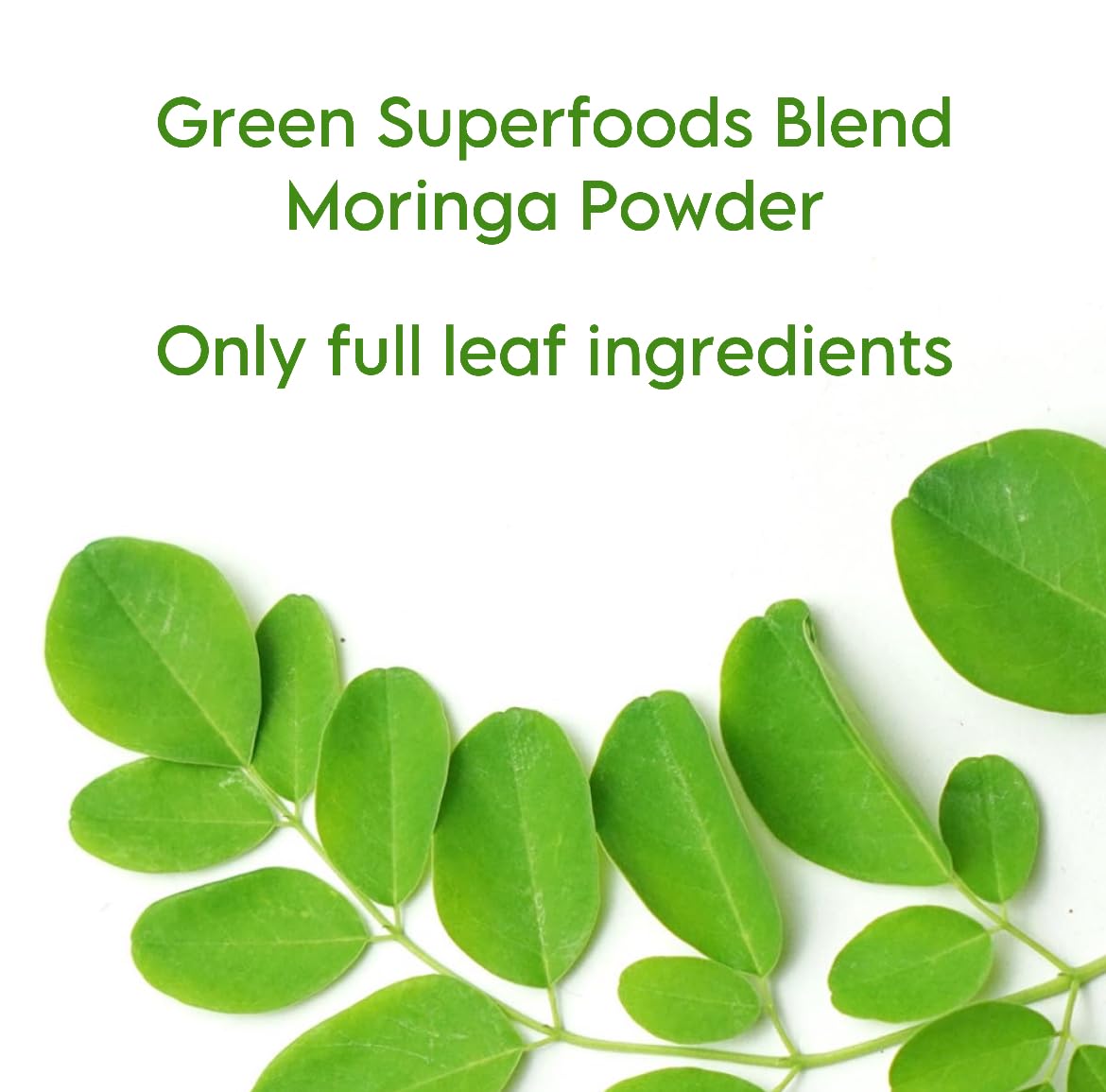 LEAFTOUCH-UNLOCK THE POWER OF HERBS Moringa Oleifera Leaf Powder 3.5 oz