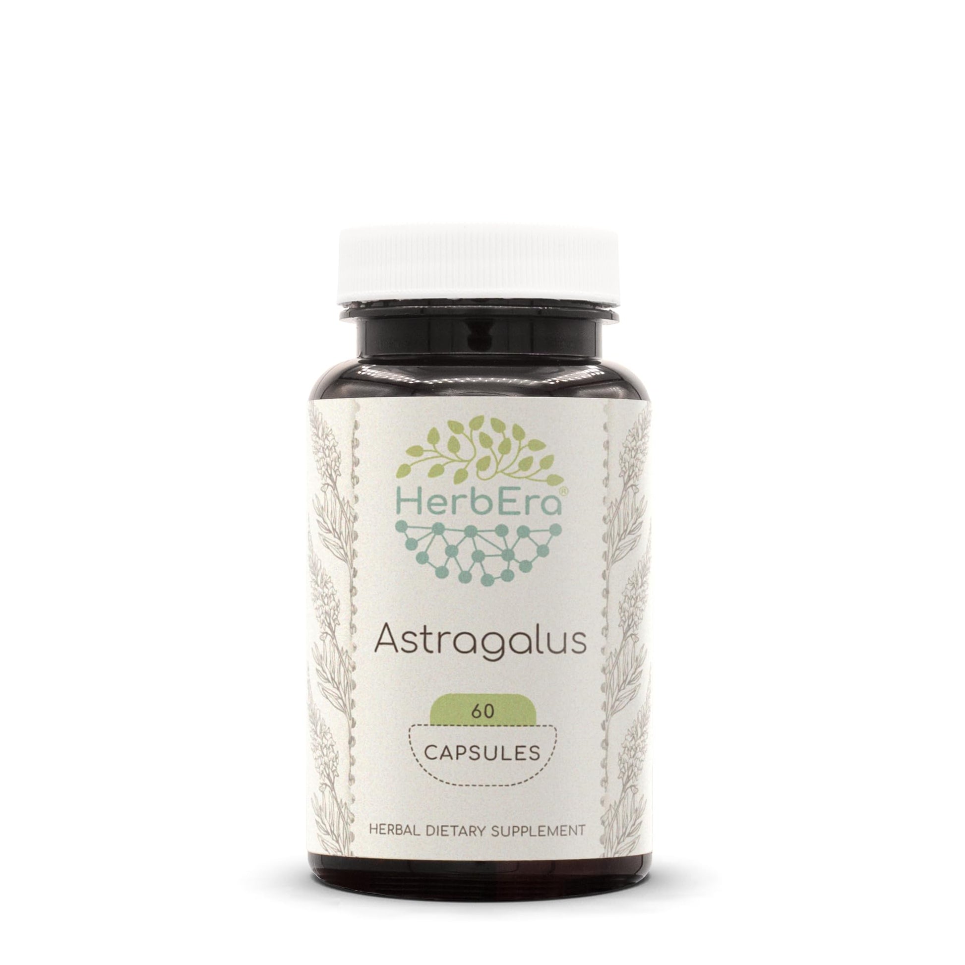 HerbEra Astragalus 500 mg Capsules, 60 Count