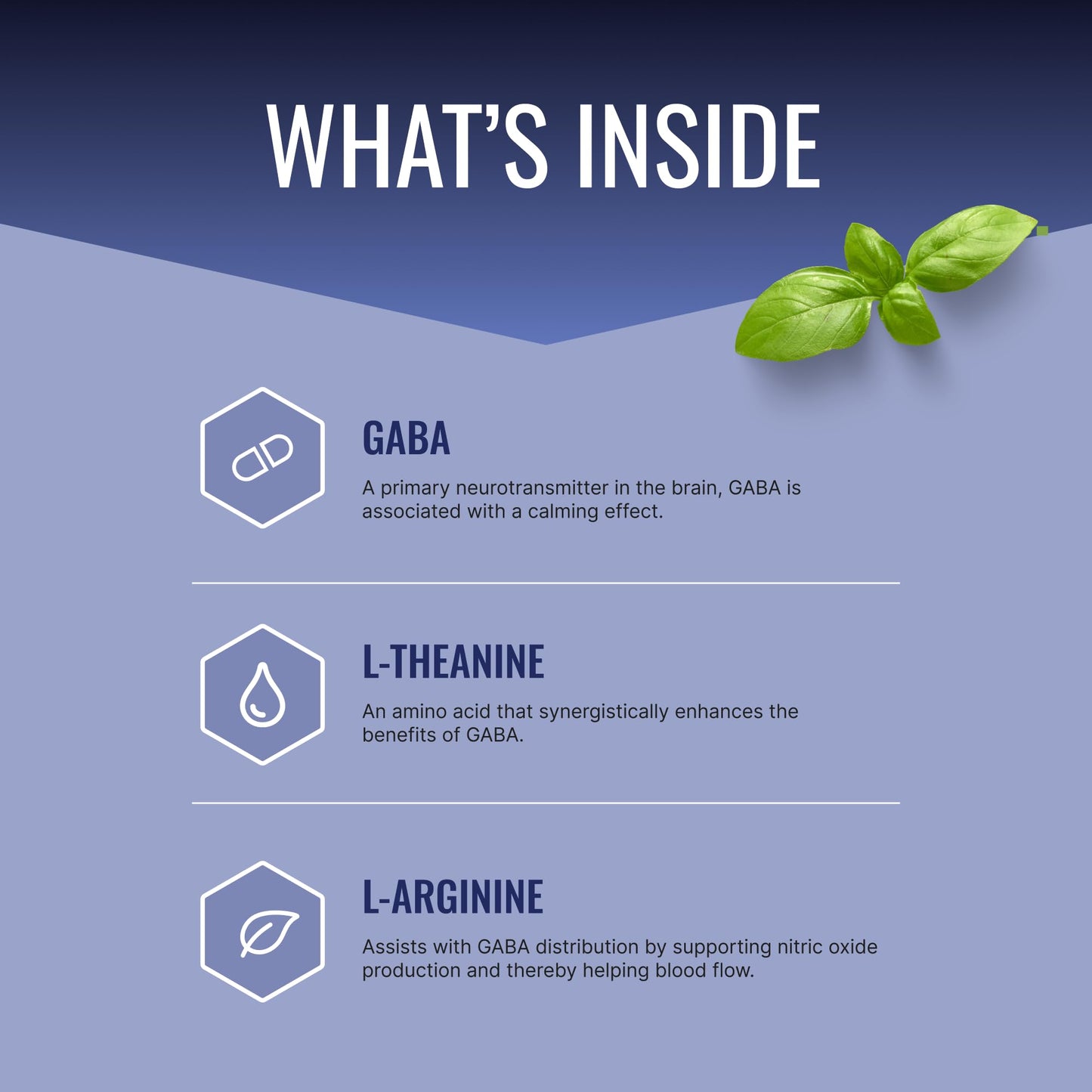 Approved Science GABA+ Capsule 60 Count