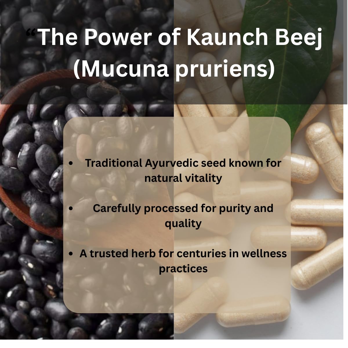 Morsan Healthcare Kaunch Beej Capsules, Mucuna pruriens, 240 Count