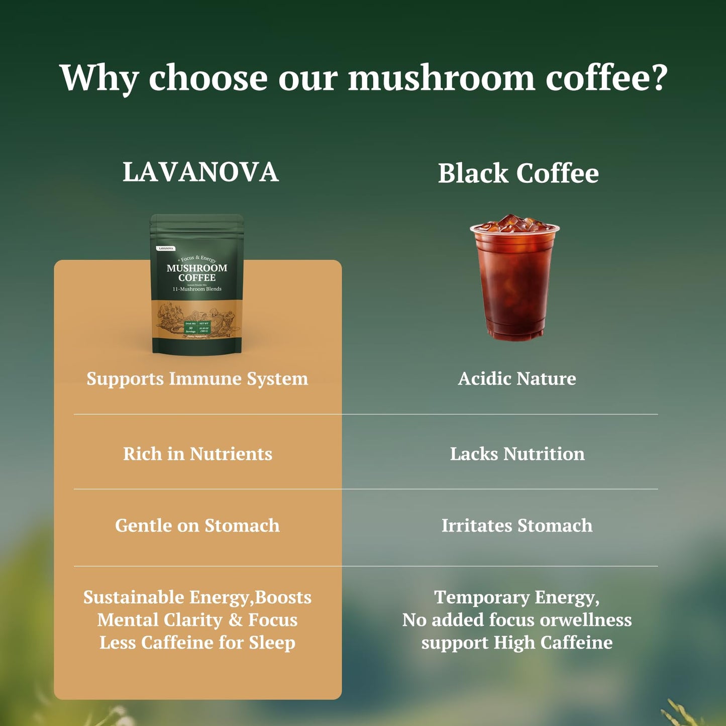LAVANOVA Mushroom Coffee Powder 10.58 oz