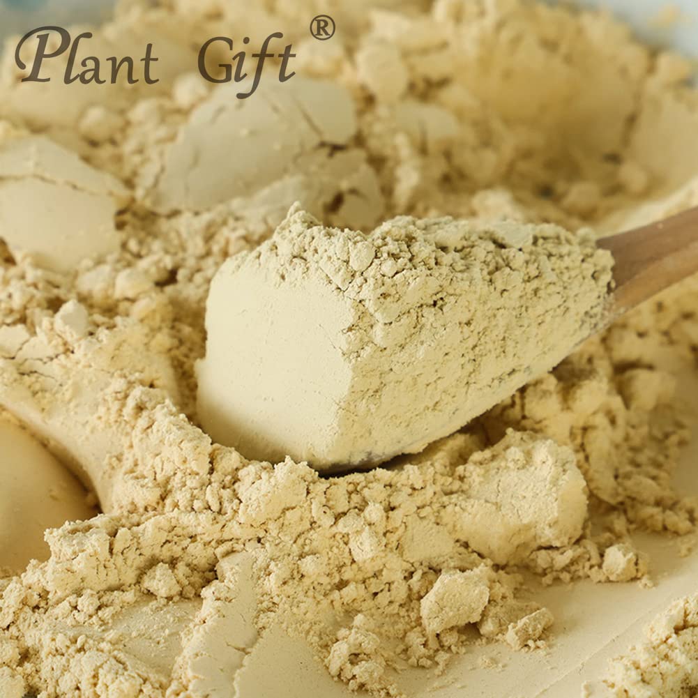 Plant Gift Hericium Erinaceus Powder, Lions Mane Mushroom Powder, 3.53 oz