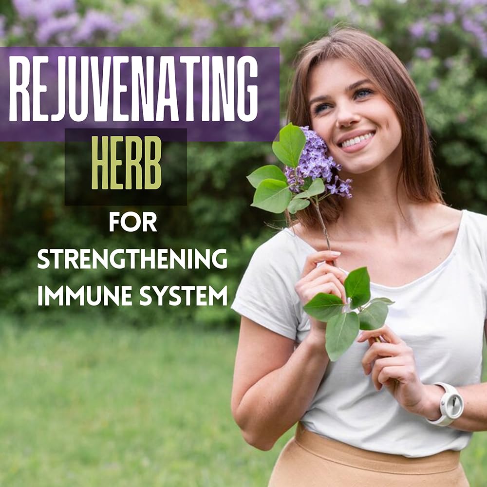 Hebhac Herbs Amla Capsules 120 Capsules