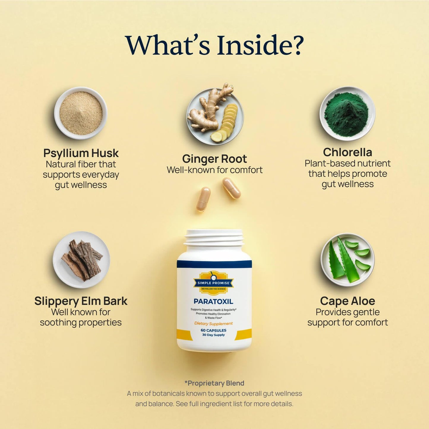 Simple Promise Paratoxil Daily Gut Cleanse with Psyllium Husk Fiber & Black Walnut, Slippery Elm, Aloe, Chlorella & Ginger - Natural & Plant-Based Cleanse Capsule, 60 Capsules