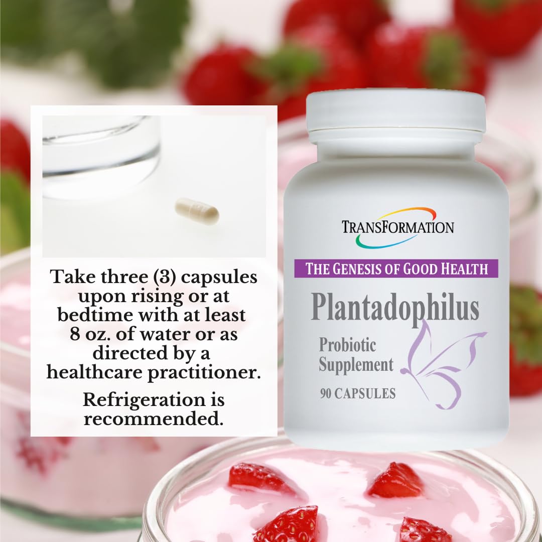 TRANSFORMATION The Genesis of Good Health Enzymes Plantadophilus Natural Plant-Based Probiotics Supplement Capsules, 90