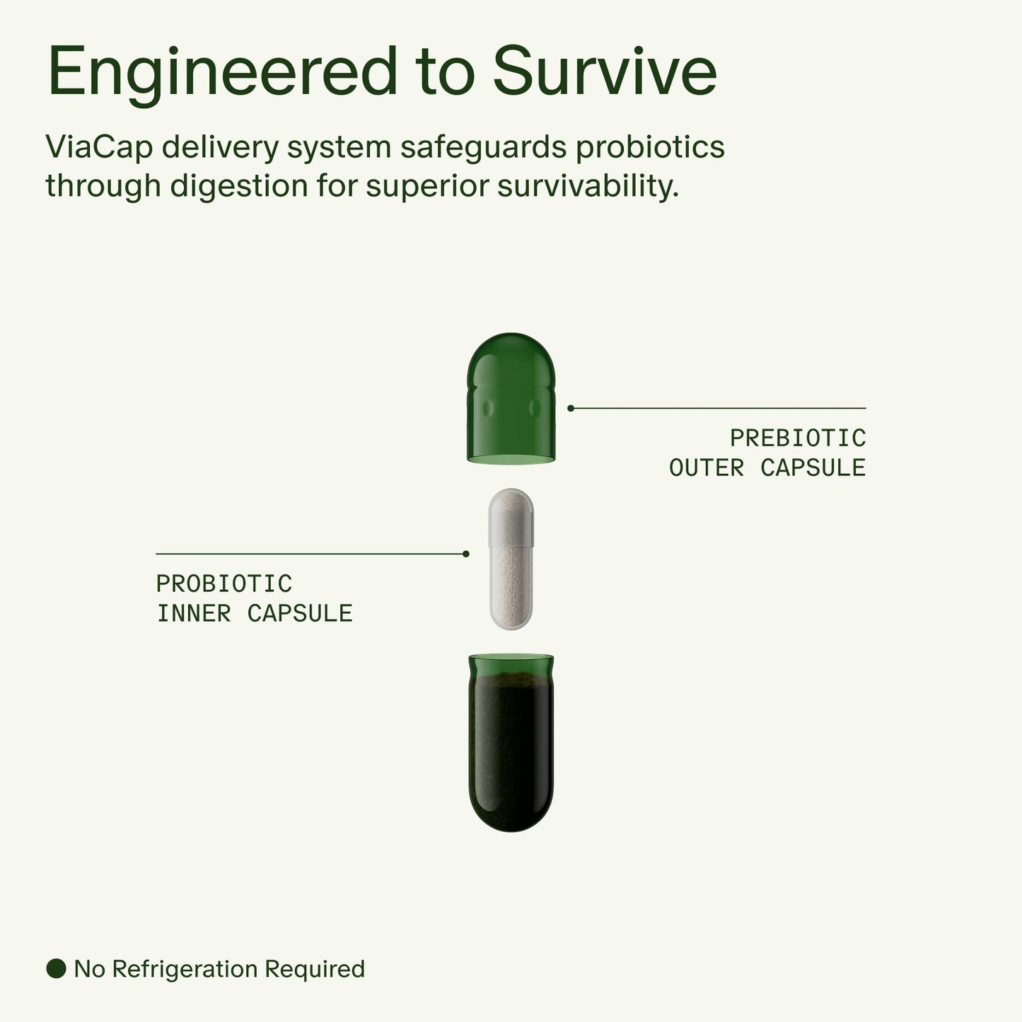 Seed DS-01 Daily Synbiotic Capsule 60 Count