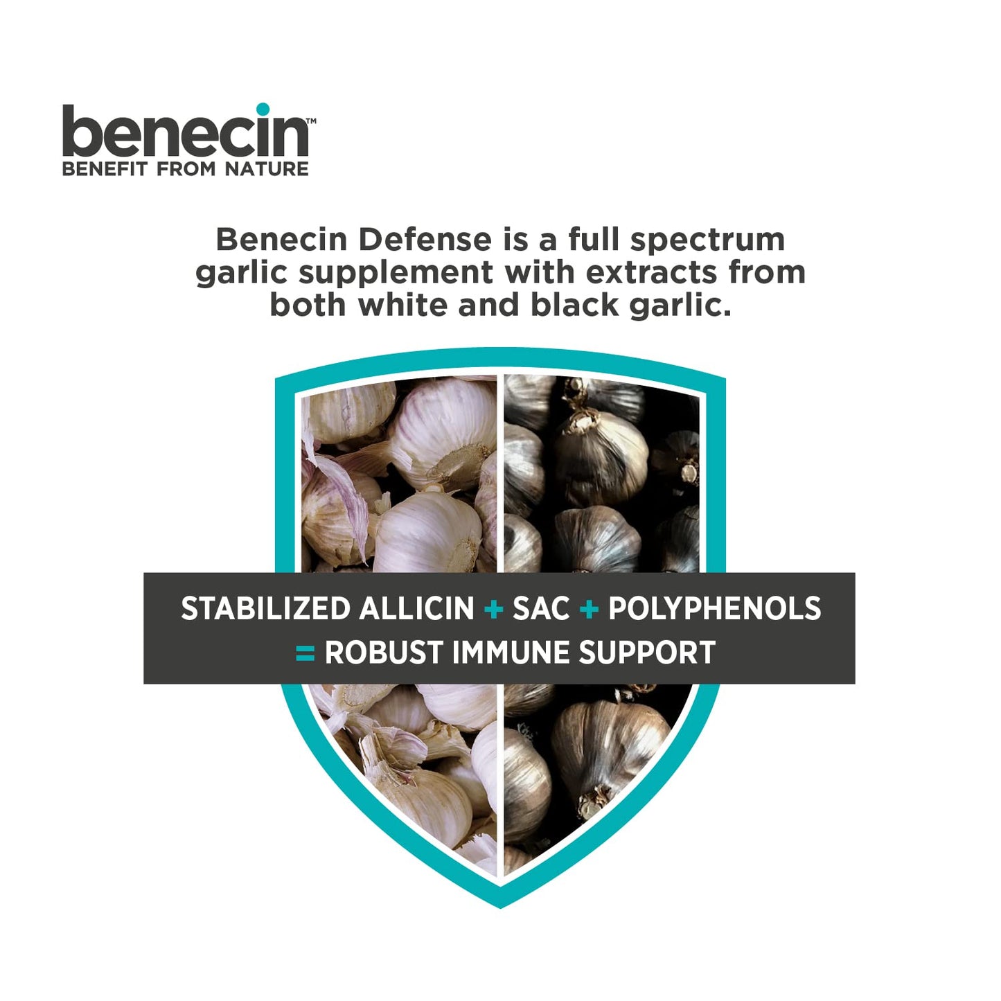 Benecin Defense 1500 mcg Stabilized Allicin Capsules, 90 Count