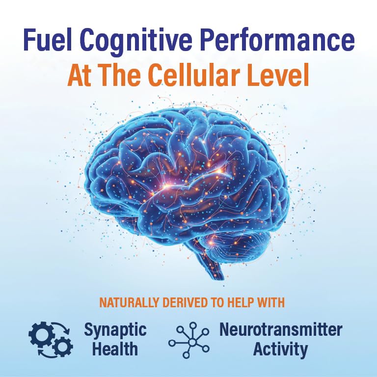 Neutein Brain Supplement for Memory and Focus, 240 Capsules