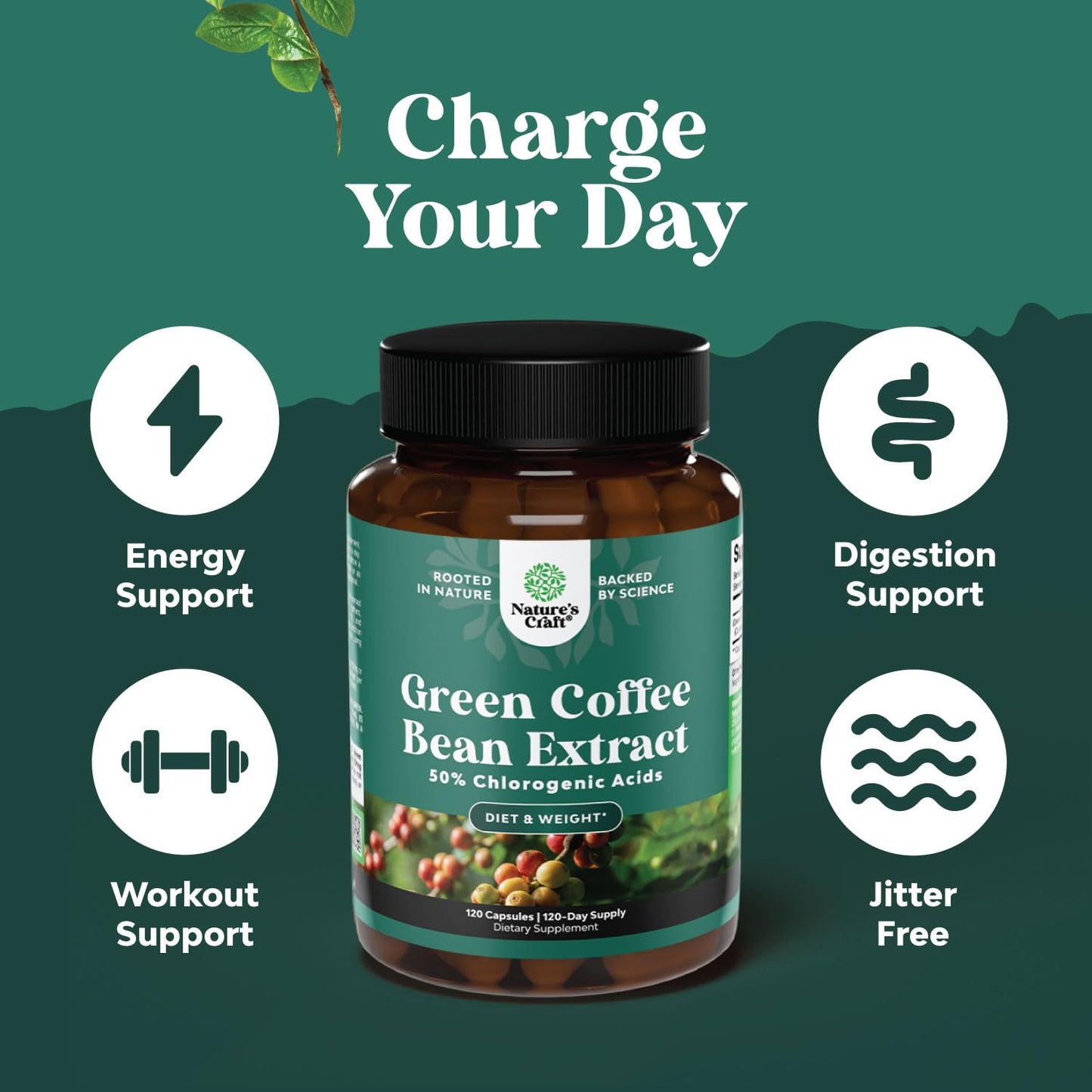 Natures Craft Green Coffee Bean Extract Capsule, 120 Count