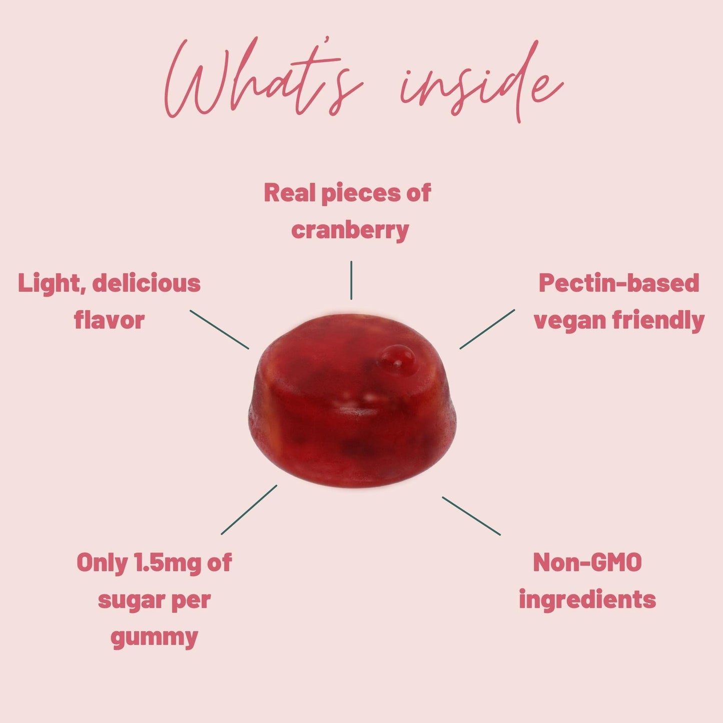 Mother Nutrient Cranberry Gummies for Women/Men/Kids Urinary Tract Health Cranberry Chews, 100 Gummies