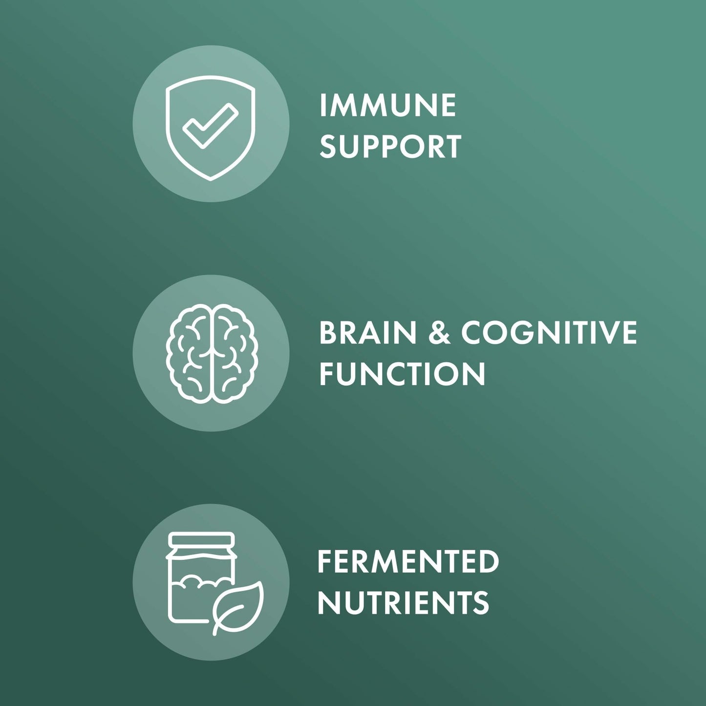 Dr. Mercola Organic Fermented Mushroom Complex 90 Capsules