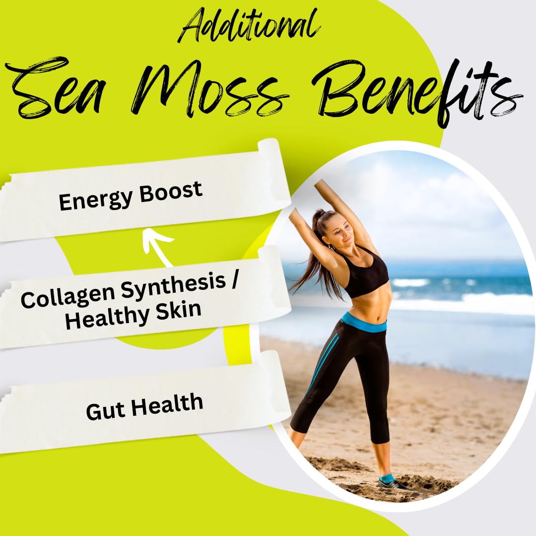 Advanced Bionetix Organic Irish Sea Moss Capsules 240 Count