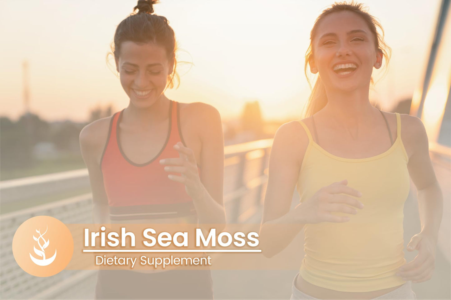 Pure Original Ingredients Irish Sea Moss Capsules 100 Count