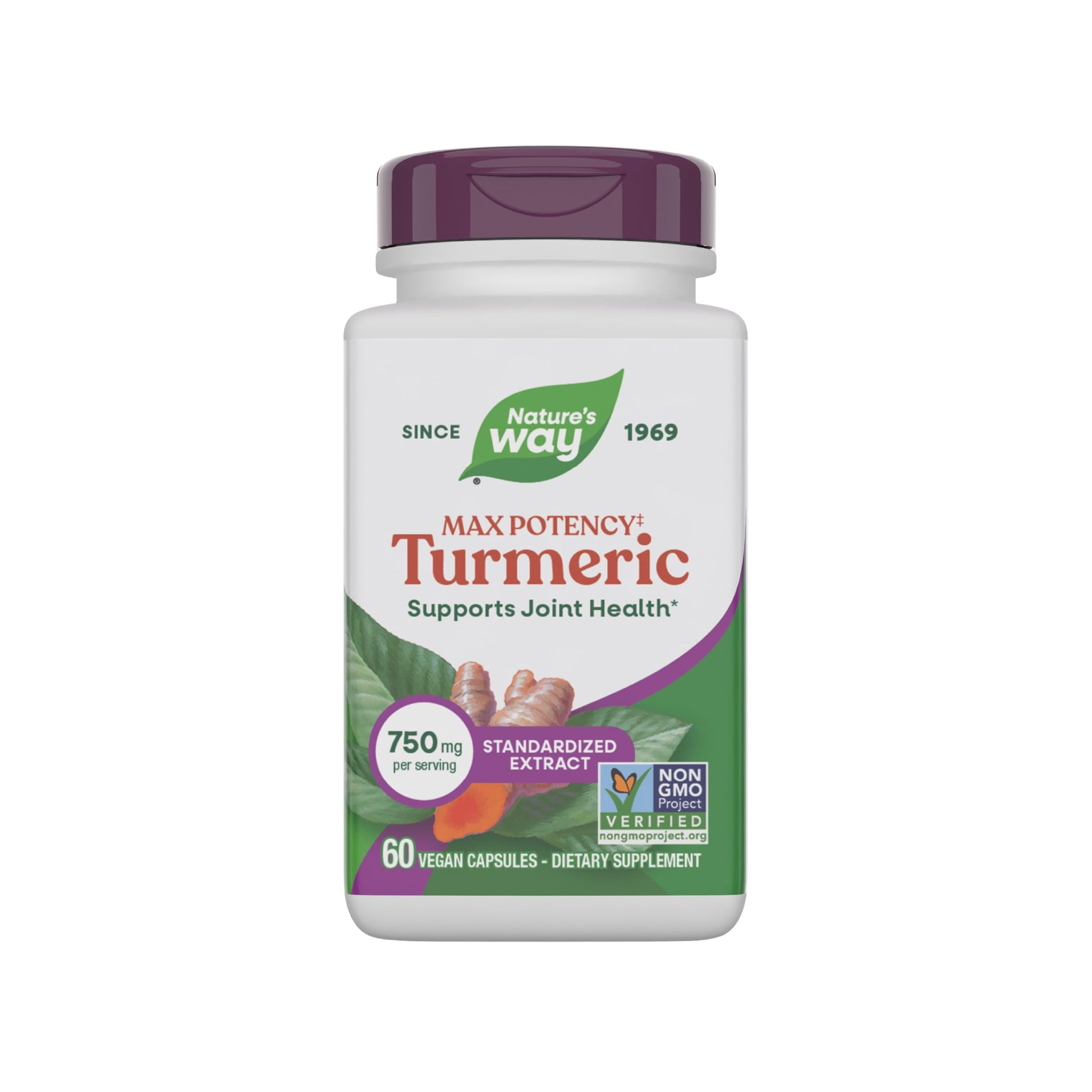 Nature's Way Max Potency Turmeric Premium Extract Capsules, 60 Count