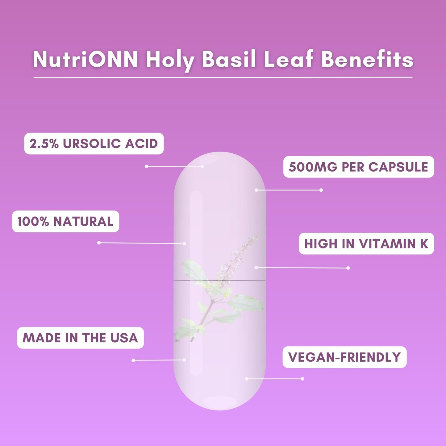 NutriONN Holy Basil Leaf 500mg Capsules 120 Count