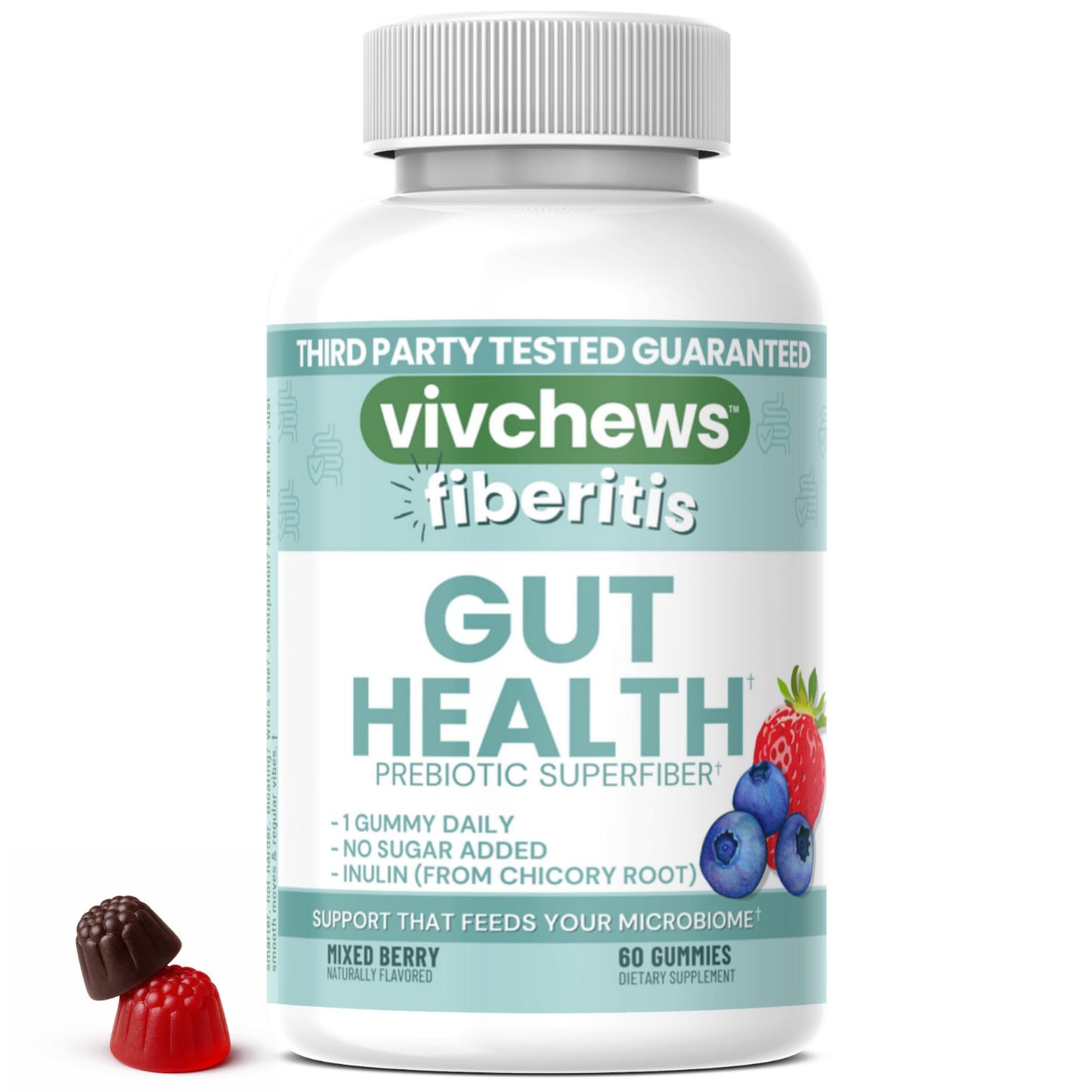 vivchews Gut Health Gummies 60 Count