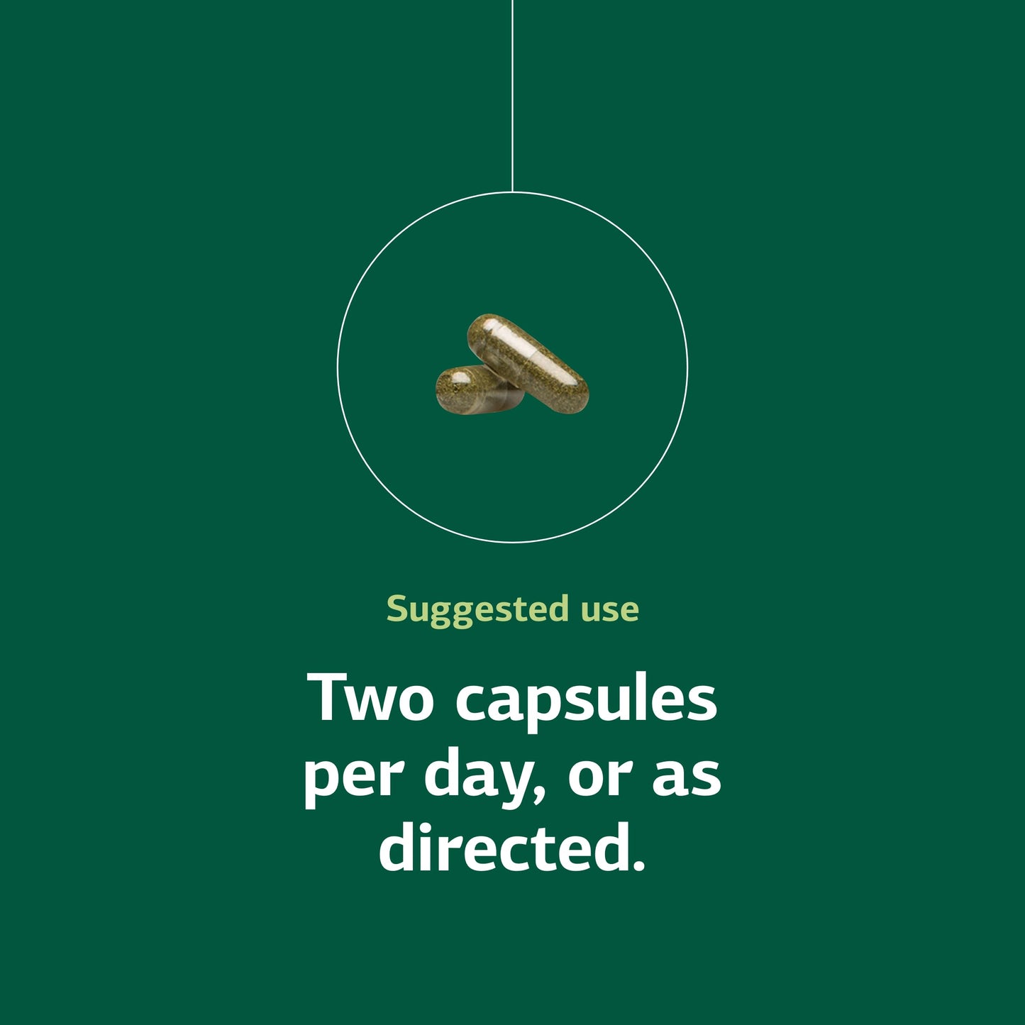 Standard Process Inc. Catalyn with Iron 150 Capsules