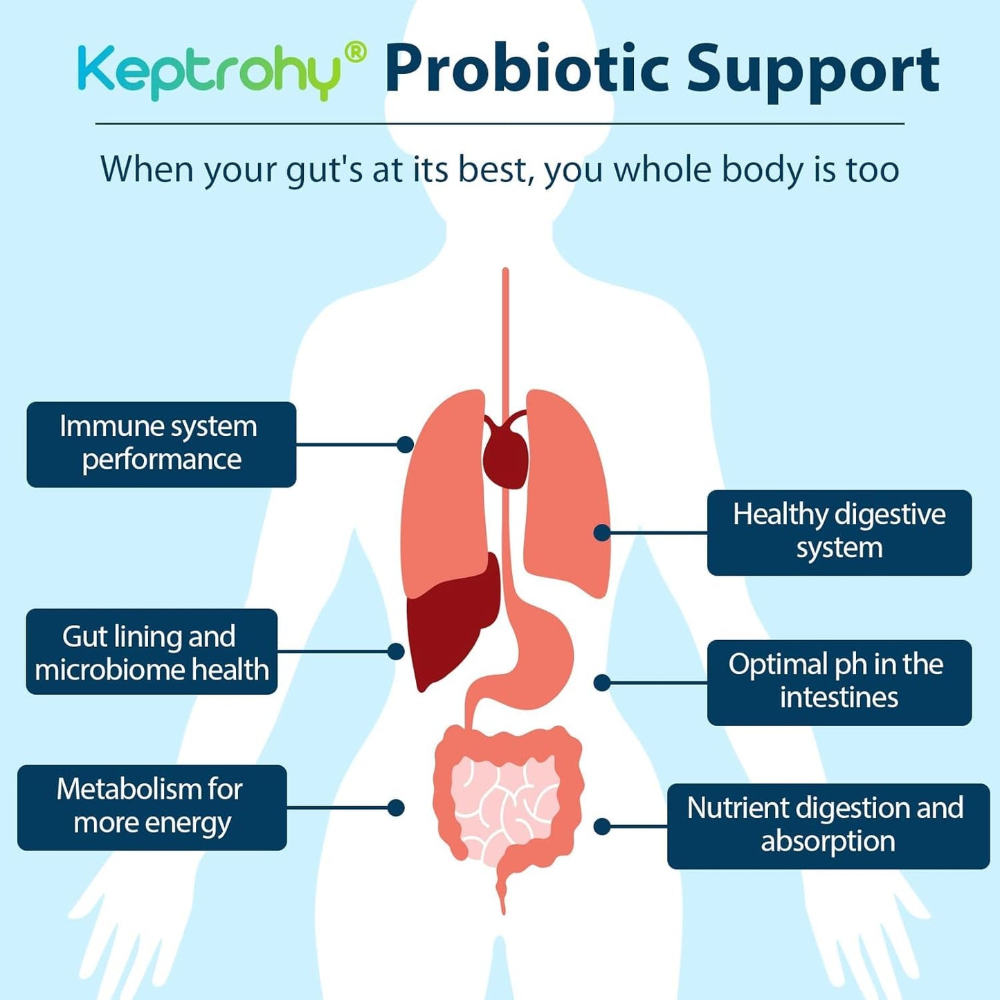 Keptrohy Probiotics for Women & Men 300 Billion CFU Probiotics from 12 Strains + Organic Prebiotics Blend for Daily Digestive, Immune, Gut, Bloating, Gut Health, Shelf Stable 60 Capsules