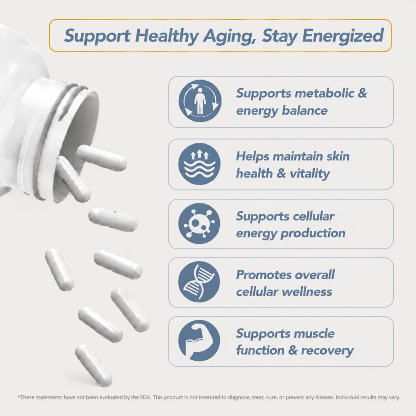 Erivyn NMN Supplement 800mg NAD+ Precursor Formula 60 Capsules