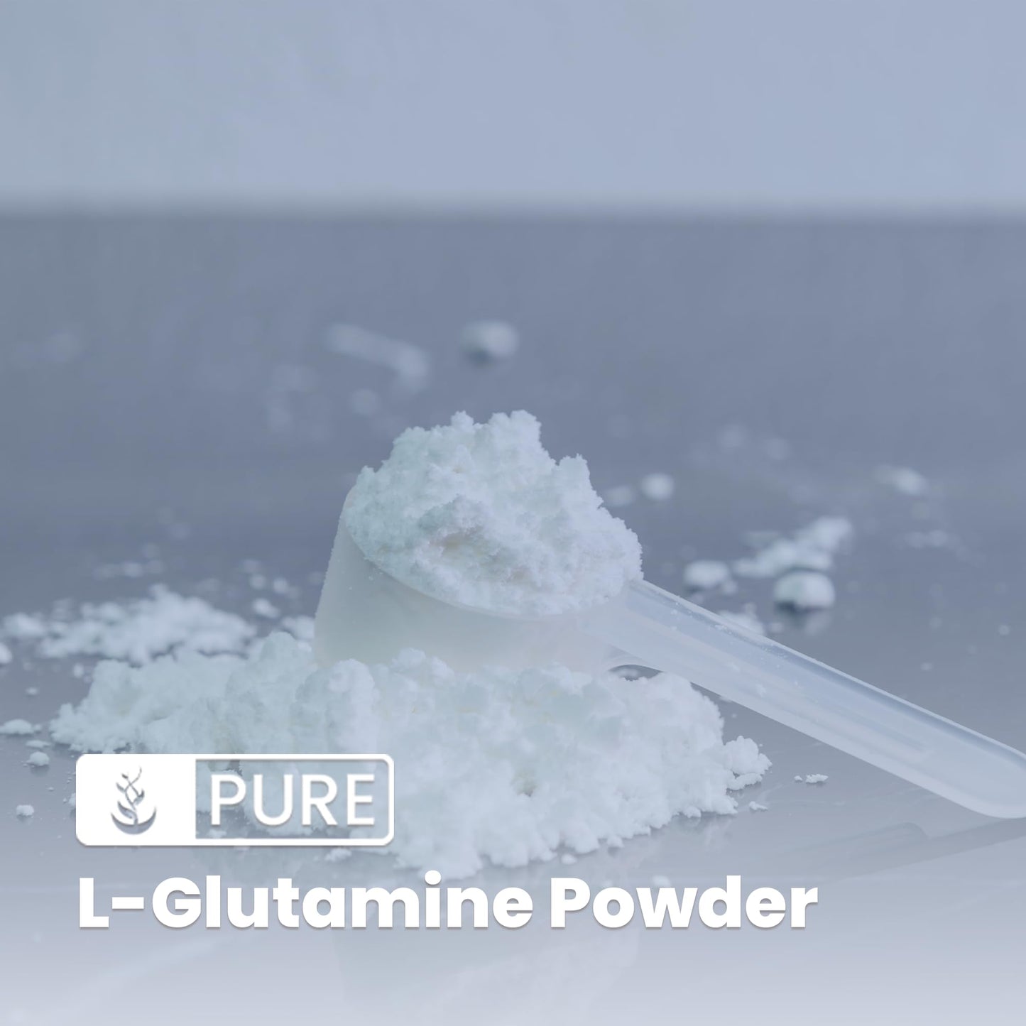 PURE ORIGINAL INGREDIENTS L-Glutamine Alpha-Amino Acid Supplement Powder, 16 oz