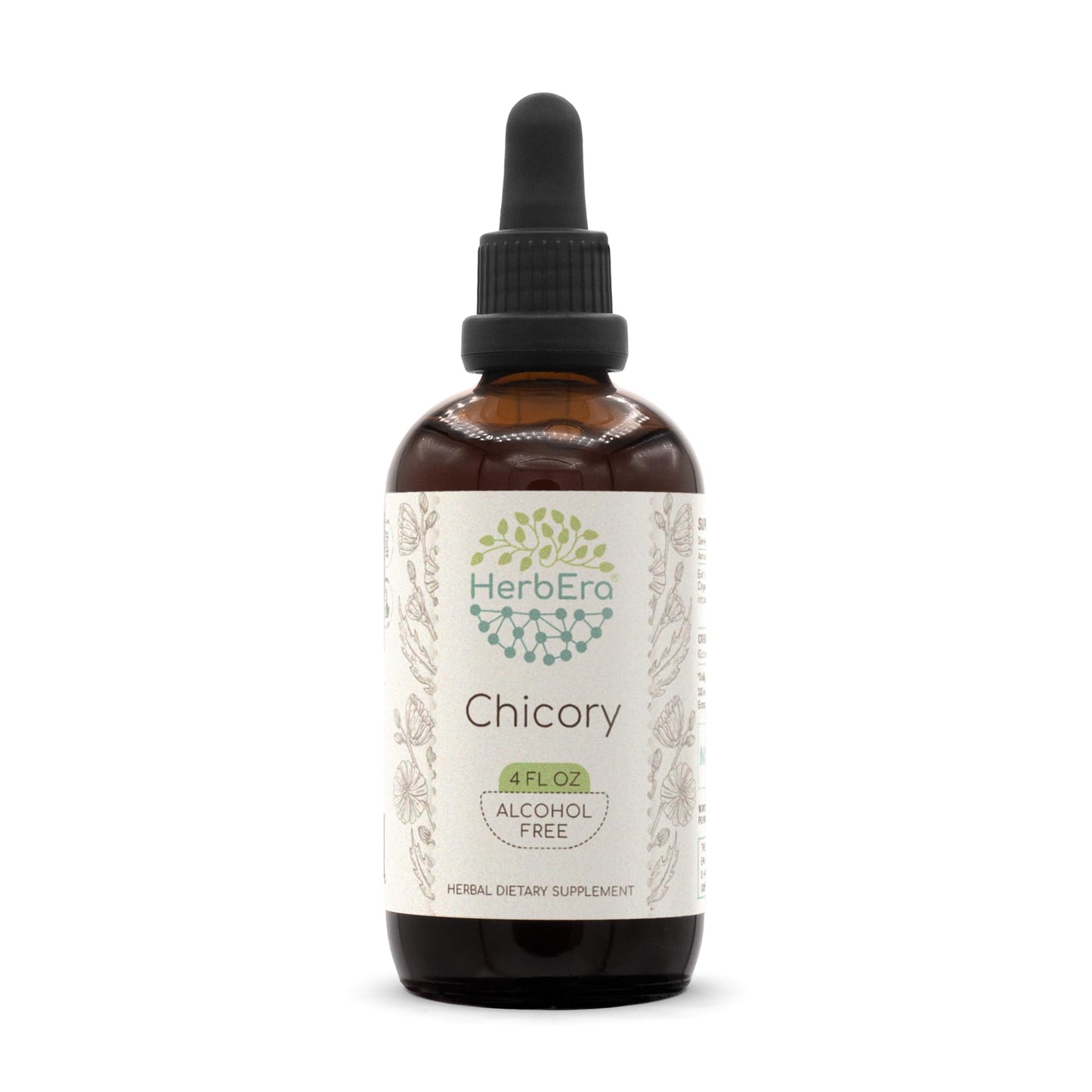 HerbEra Chicory B120 Alcohol-Free Herbal Extract Tincture, Liquid, 4 fl oz