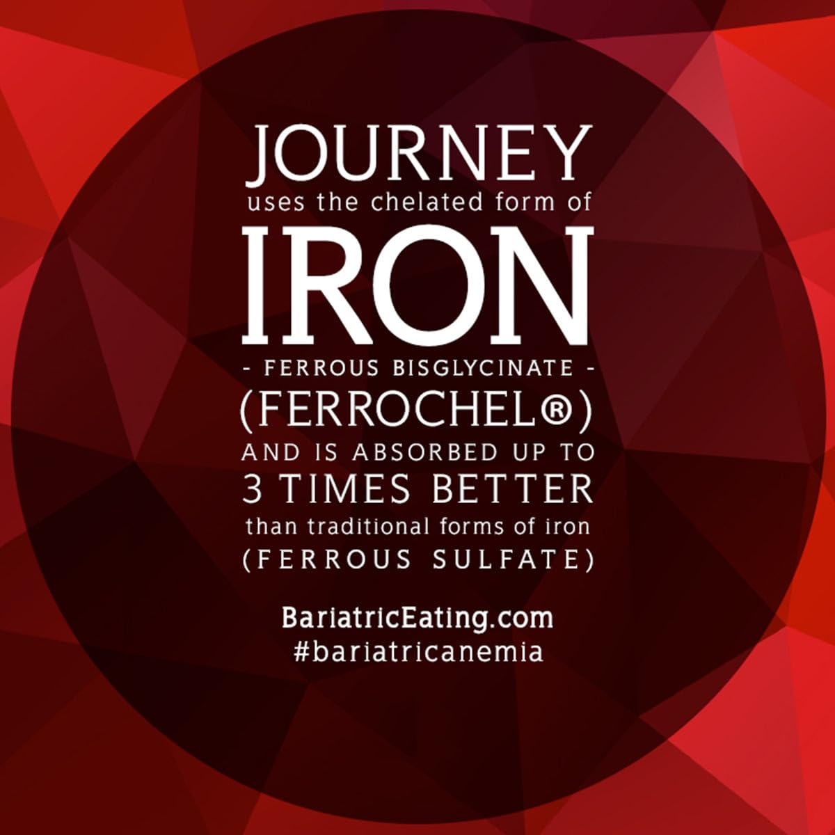 Bariatric Eating Journey 30mg Chelated Gentle Iron Ferrochel 60 Capsules