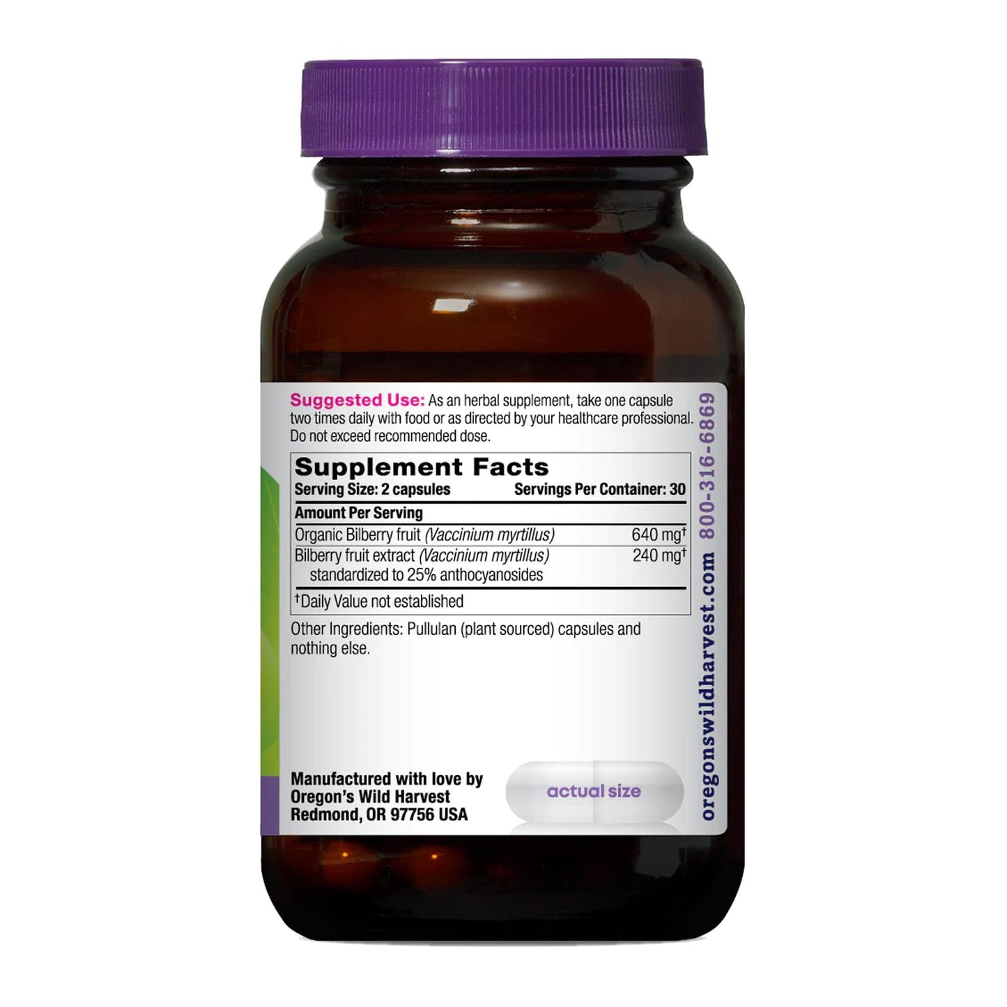 Oregon's Wild Harvest Bilberry Herbal Supplement Capsules, 60 Count