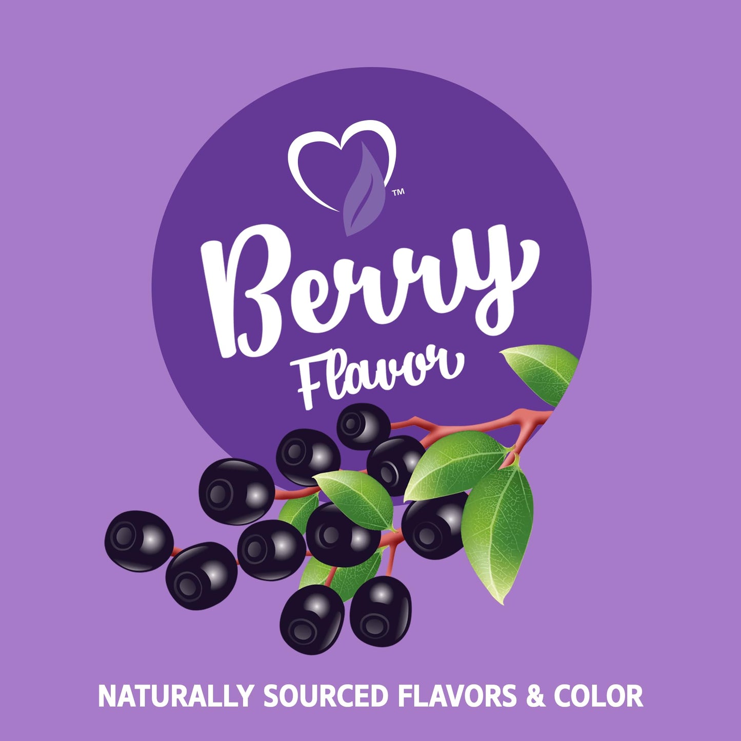 21st Century VitaJoy Sambucus Elderberry Gummies 60 Count
