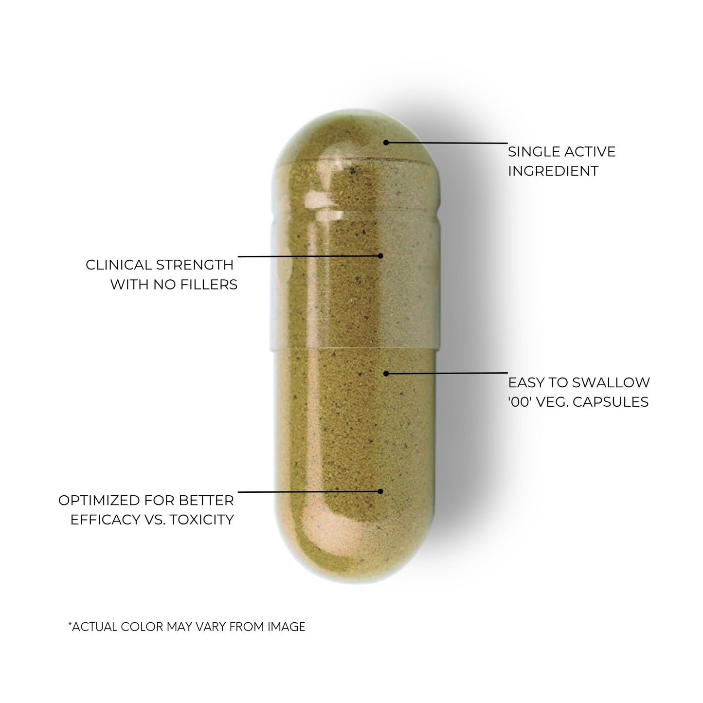 FOLIUS LABS Bacopa Monnieri Capsules 750mg – 120 Capsules