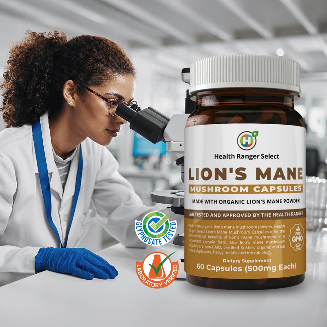 GROOVY BEE Lion's Mane Mushroom Capsules 60 Capsules