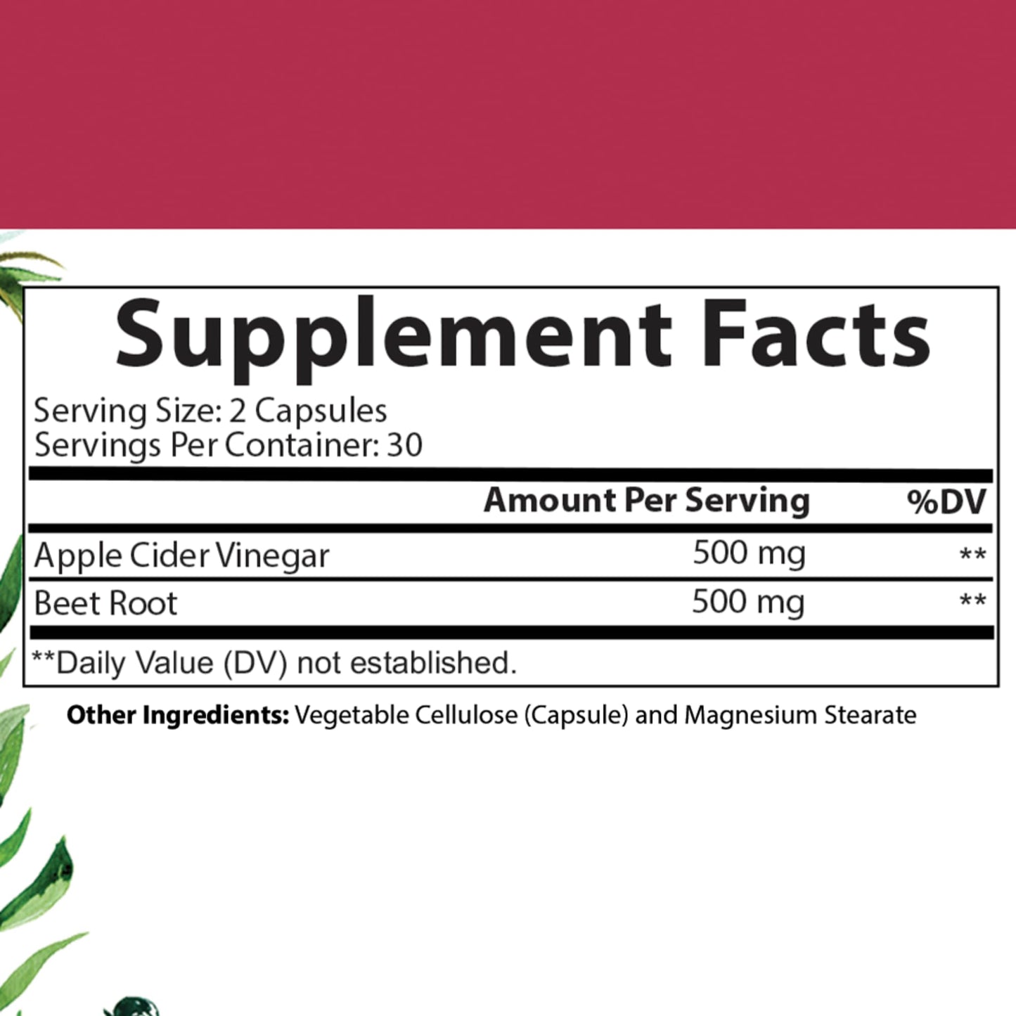 Angry Supplements Vegan Apple Cider Vinegar + Beet Root Veggie Capsules for Men and Women – 500mg Apple Cider Vinegar & 500mg Beet Root per Serving, 60 Capsules
