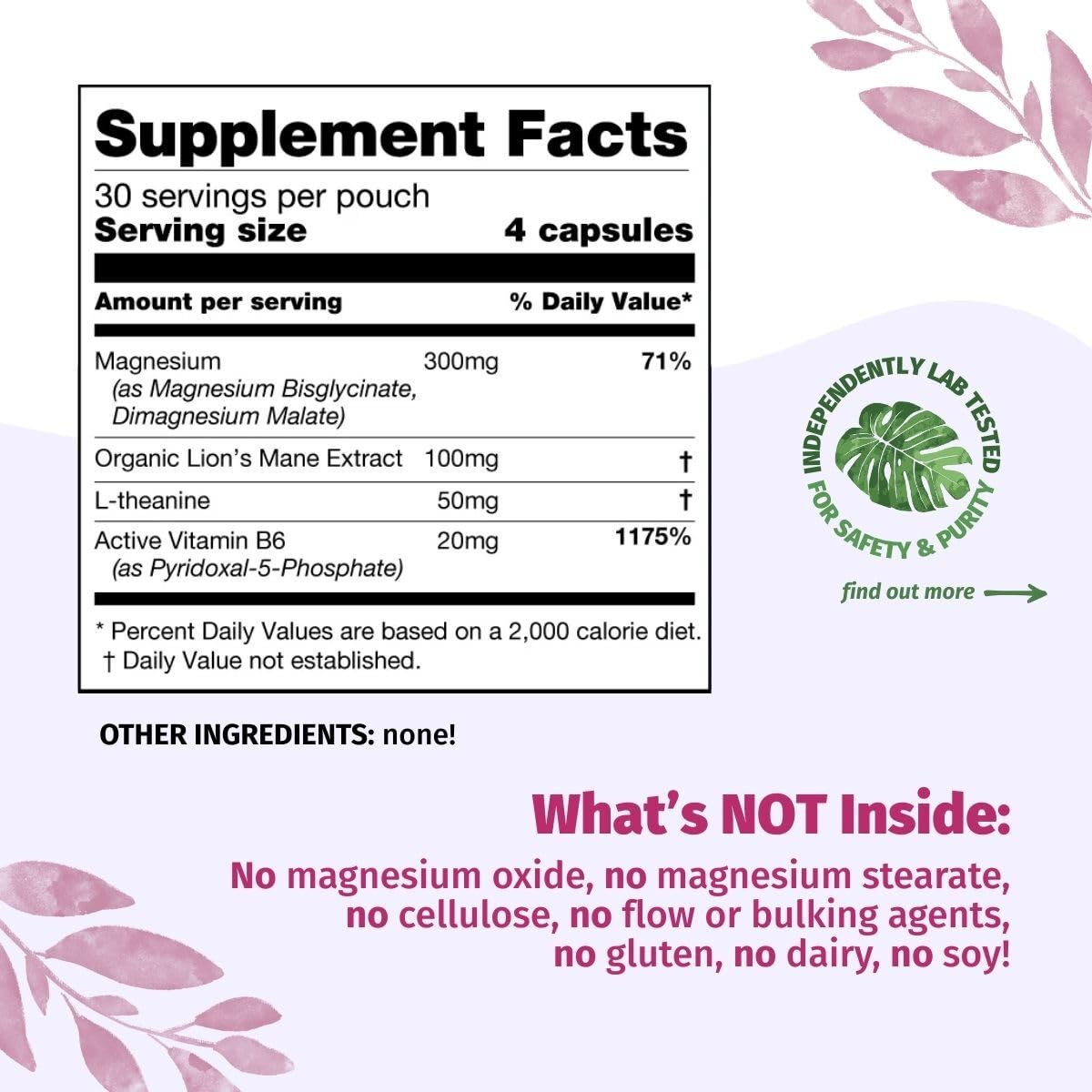 Organic Burst Enhanced Magnesium Capsules, 120 Count