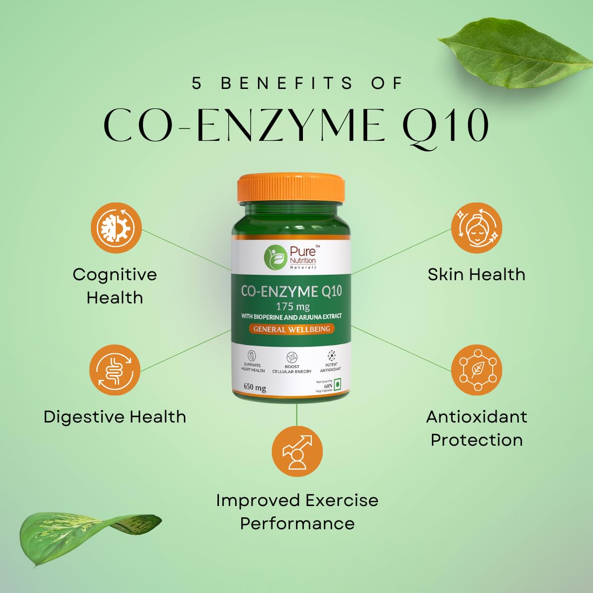PURE NUTRITION NATURAL TREASURES Bio Coenzyme Q10 175mg High Absorption CoQ10 with Bioperine & Arjuna Extract 60 Veg Capsules