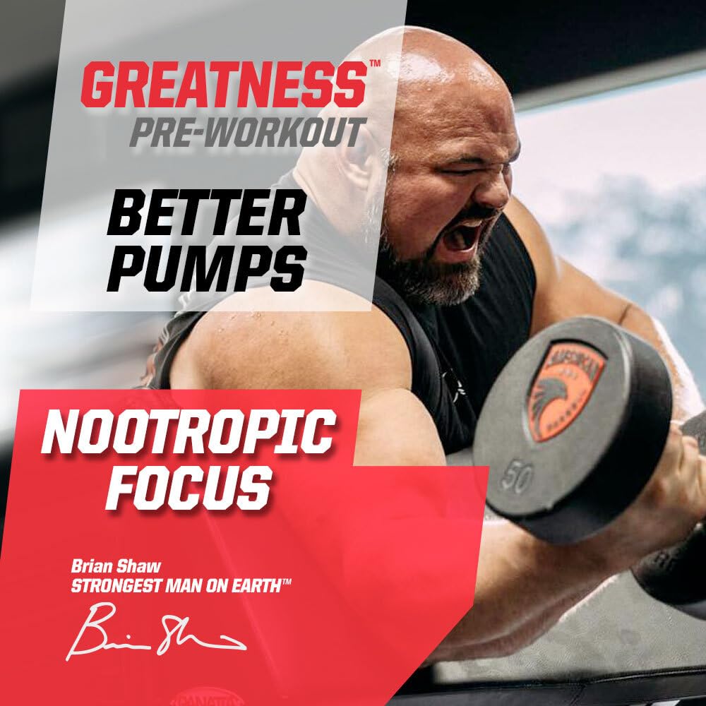 Undefined Nutrition Greatness Pre-Workout Powder 15.9 oz