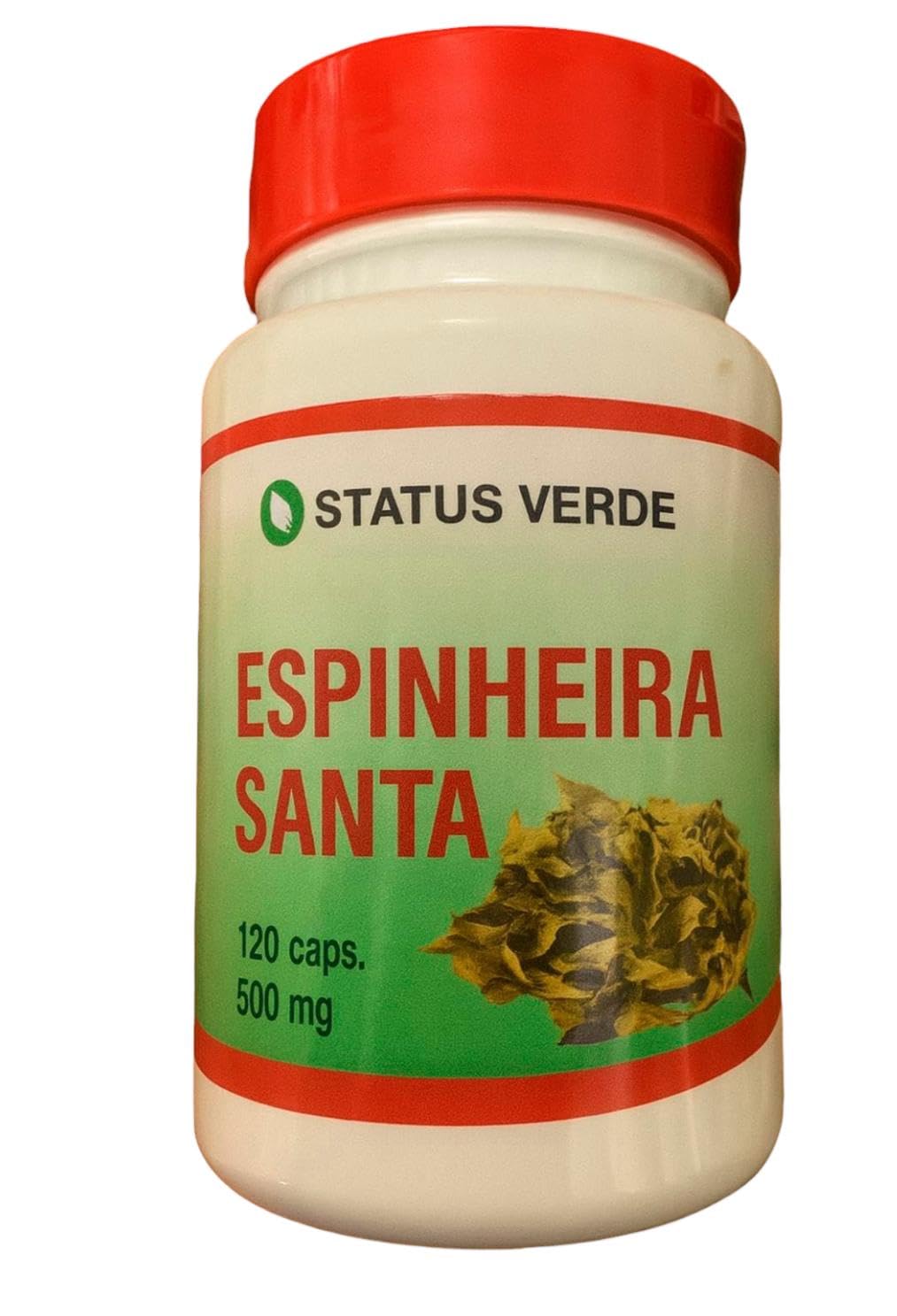 STATUS VERDE Espinheira Santa 500 mg (Maytenus icifolia) Capsules, 120 Count