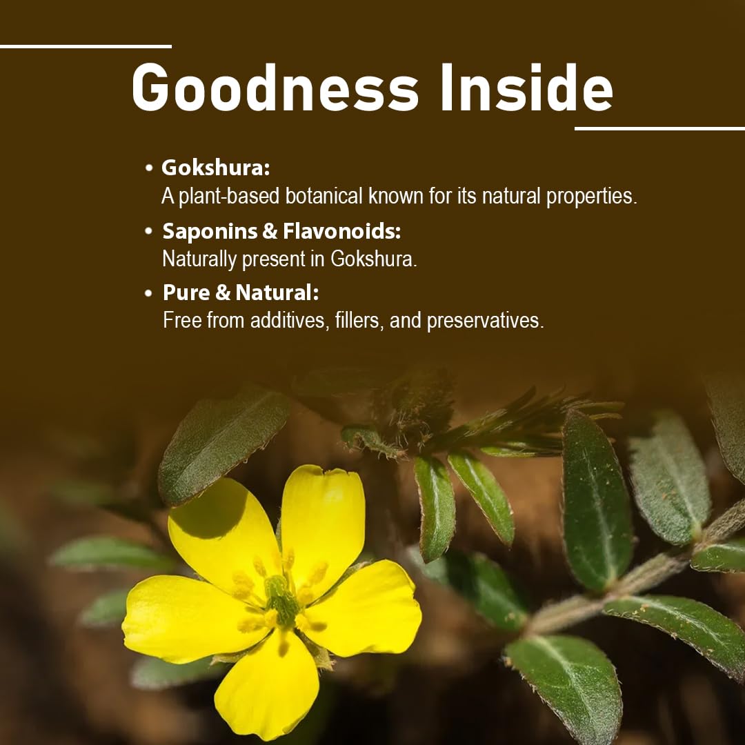 minature Gokshura (Tribulus Terrestris) Tablets 90 Count