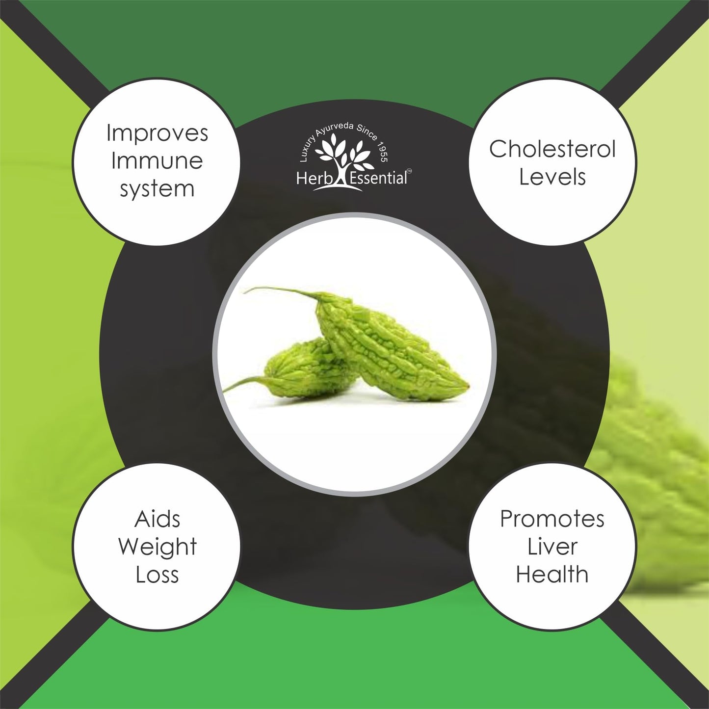 Herb Essential Karela (Bitter Melon) Powder 3.52 oz