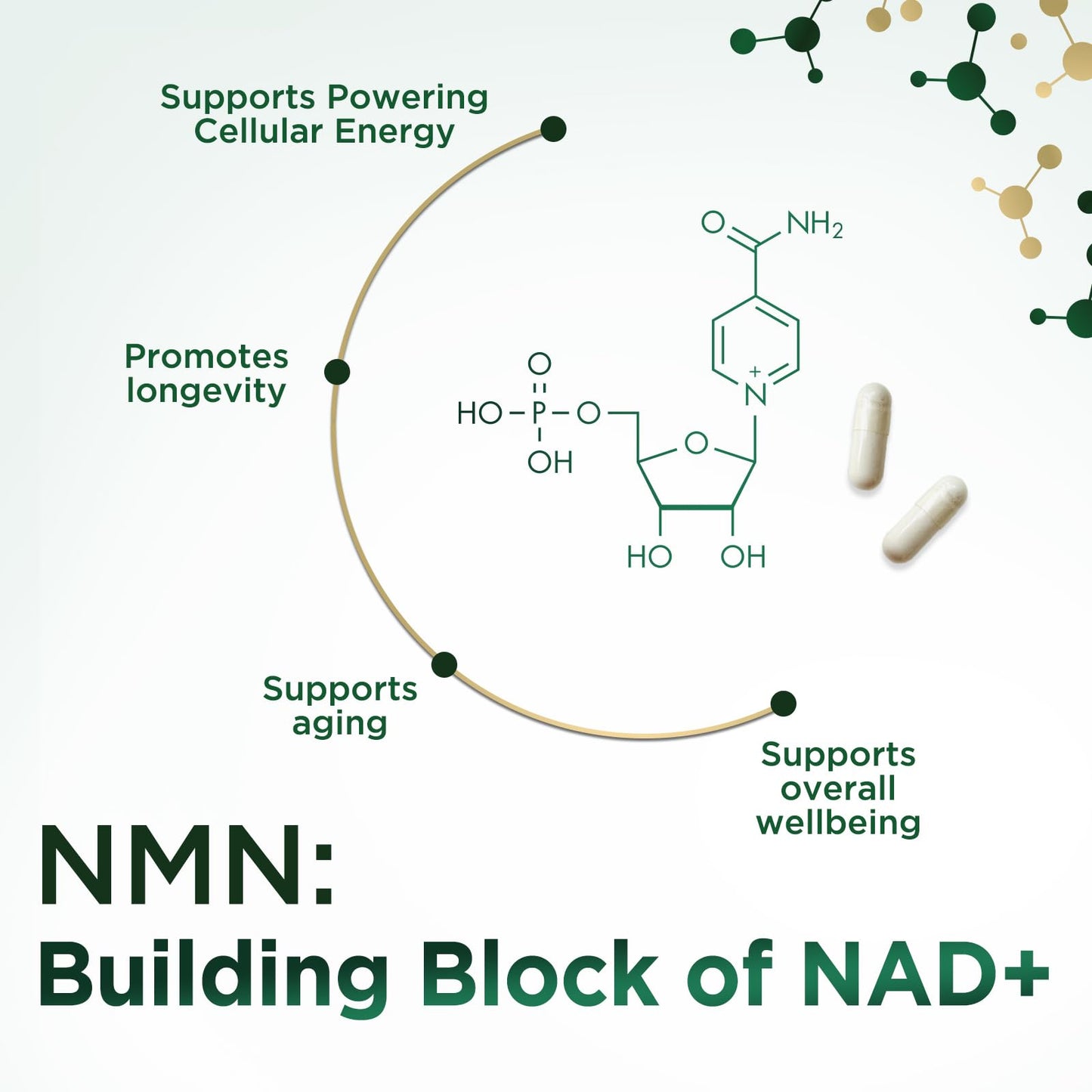 Nature's Nutrition NMN Supplement 500 mg β-Nicotinamide Mononucleotide - NAD+ Precursor - Vegan Capsules, 60 Capsules