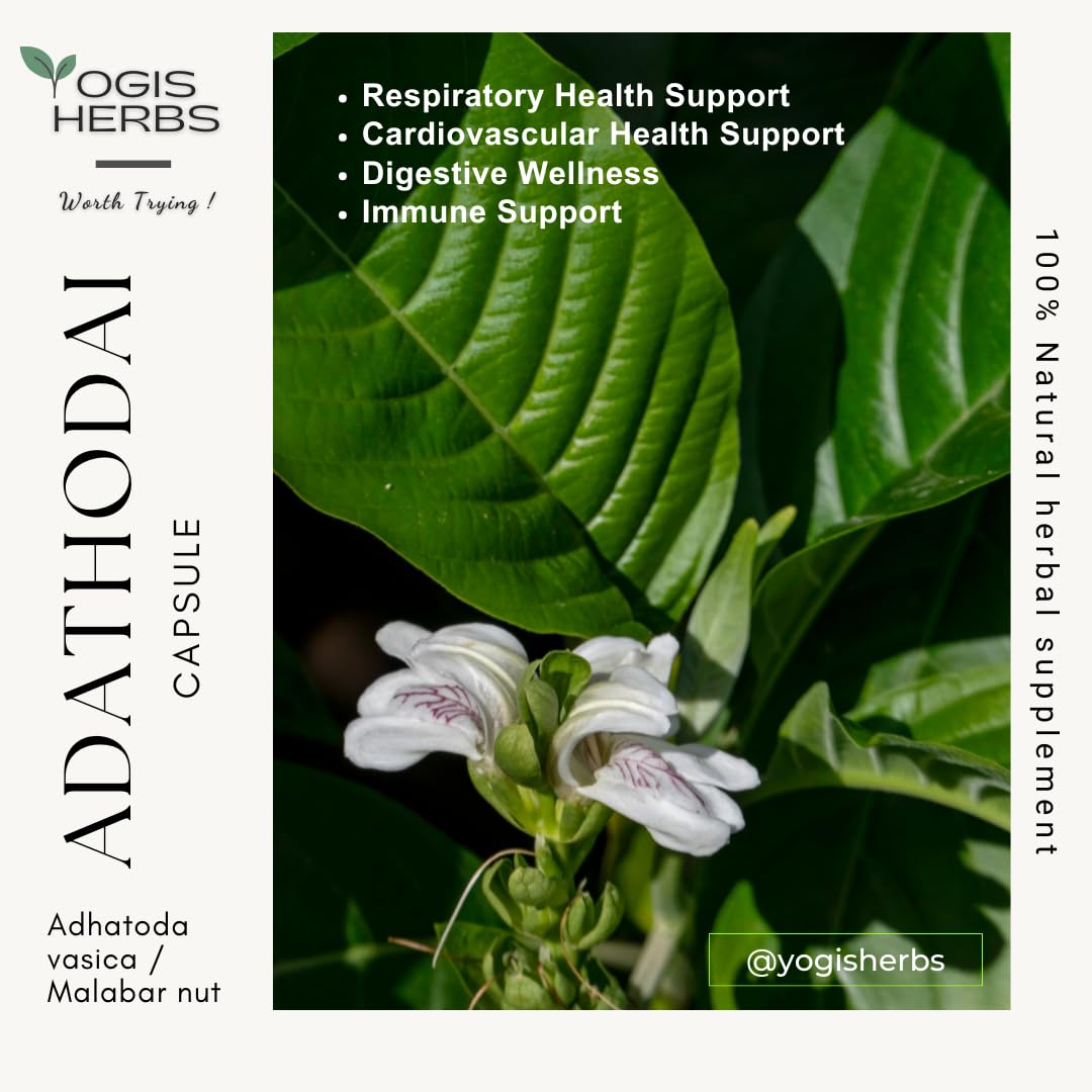 YOGIS HERBS Adathodai Capsules, 90 Veg Capsules