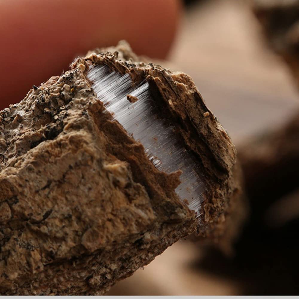 Generic Eucommia Bark Tablet 1
