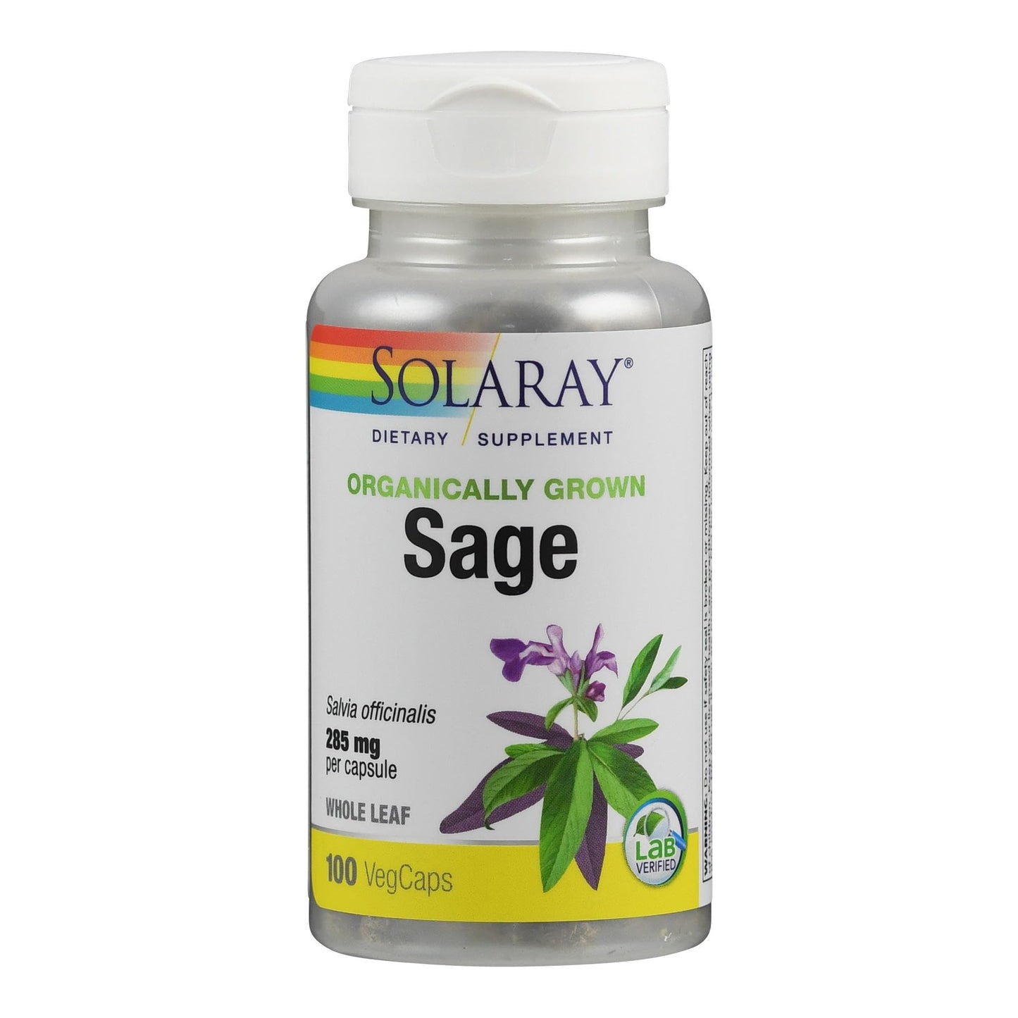 Solaray Sage Leaves Supplement for Women & Men - Sage Leaf Capsules, Natural Herbal Support for Immune System, 570 mg, Non-GMO, 100 Veg Caps