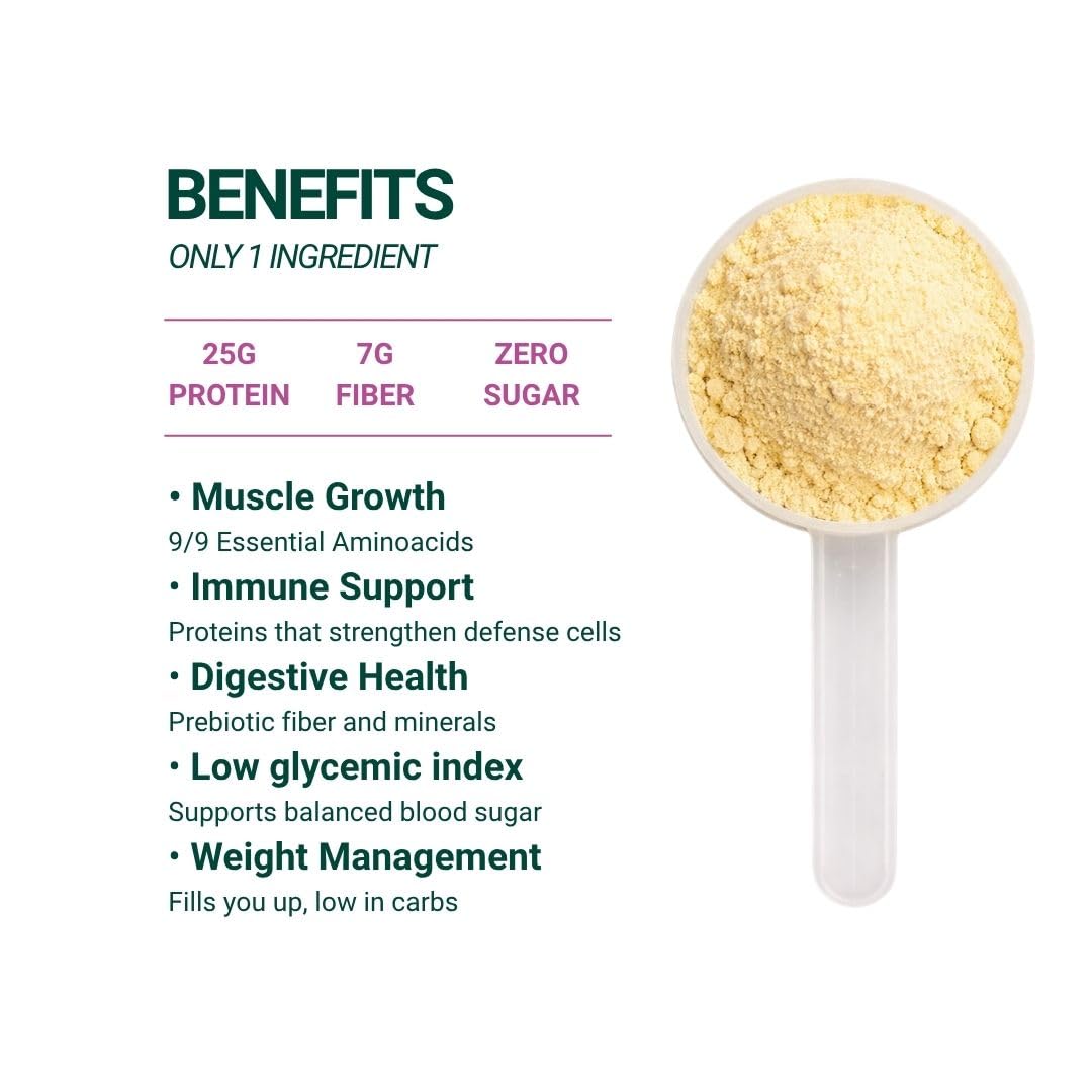 SEED Chocho Pure Plant-Based Protein Powder 17.6 oz