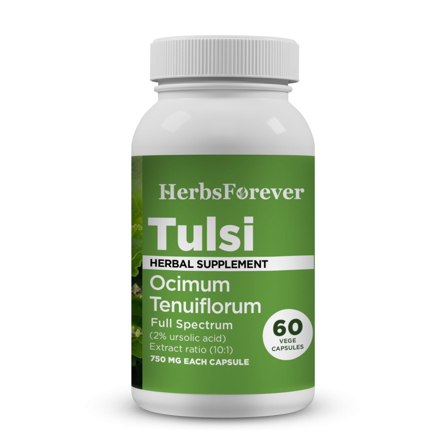 Herbsforever Tulsi Holy Basil Extra Strength 10:1 Extract, Equiv. to 2250mg Leaves Powder Per Serving, 60 Veg Capsules
