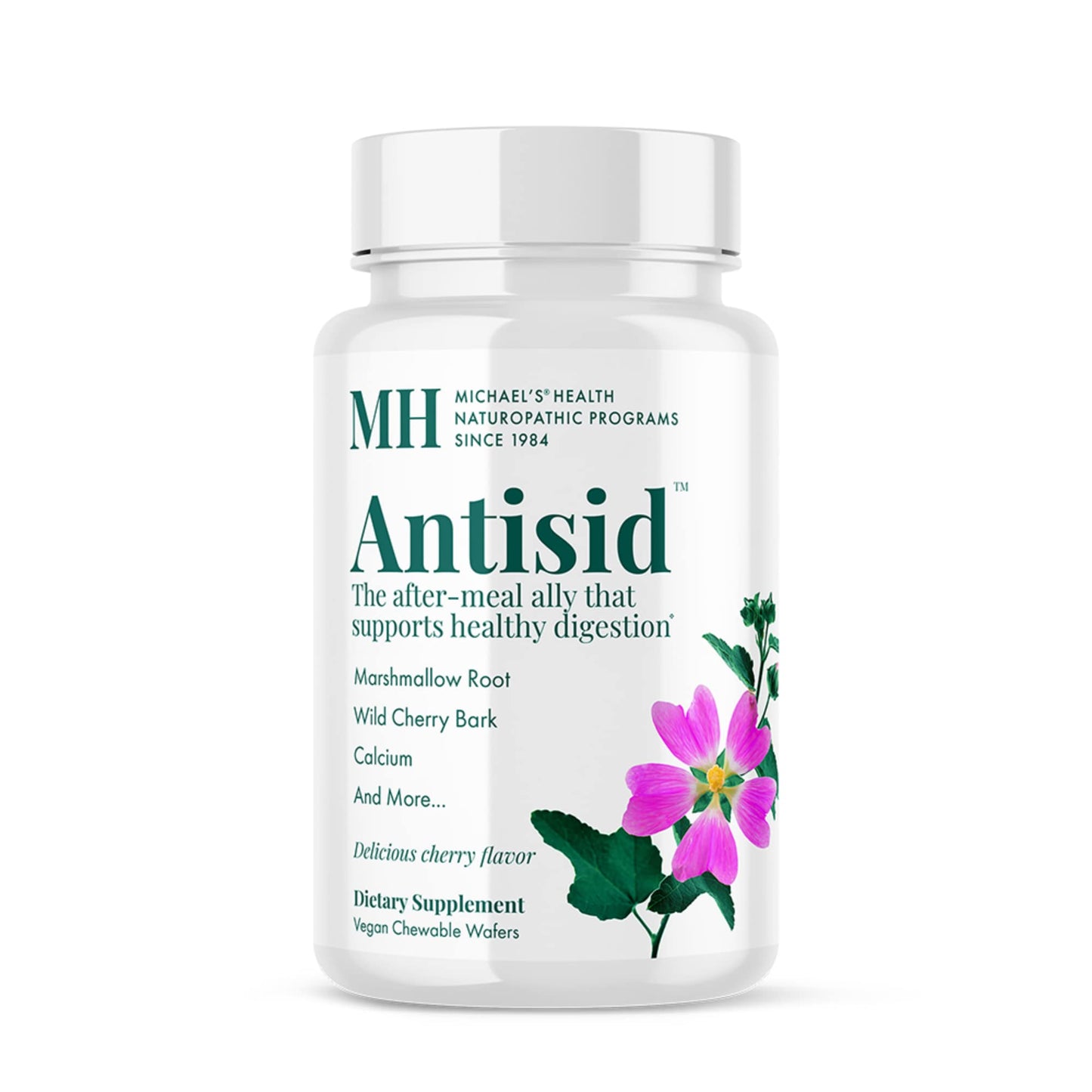 Michael's Health Naturopathic Programs Antisid Chewable 90 Count