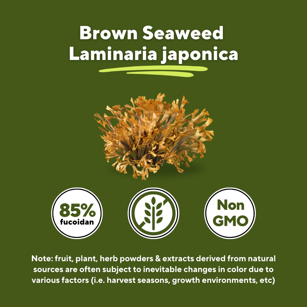 Vitapia Pure Fucoidan 85% Brown Seaweed Extract for Immune, Strong Cellular Health, Digestive Support - 1000mg Fucoidan Per Serving - 120 Veggie Capsules